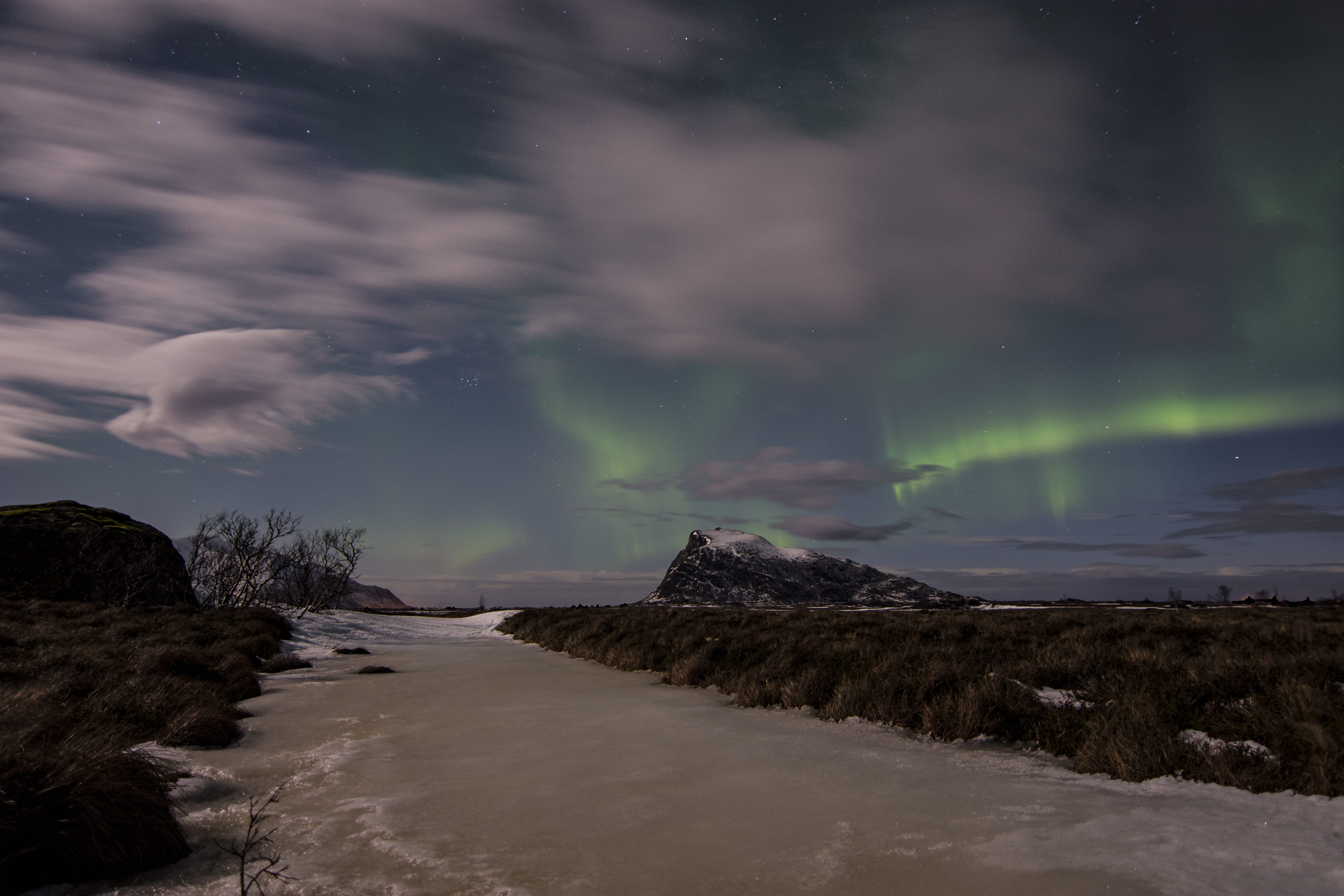 arcticcircle, astronomy, non-urban scene, winter, mountains, arctic, power in nature, 5K, plant, outdoors, scenics - nature, beauty in nature, star - space, HD Wallpaper