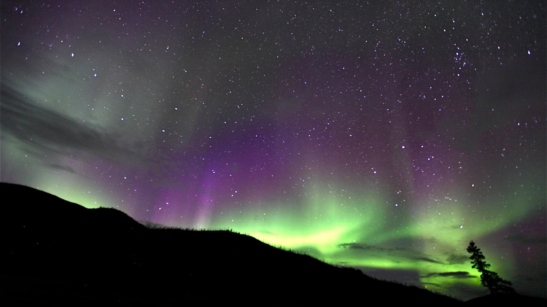 space, star field, aurora polaris, low angle view, Norway, untitled, outdoors, 1080P, star, green color, sky, majestic, beauty in nature, nature, astronomy, HD Wallpaper
