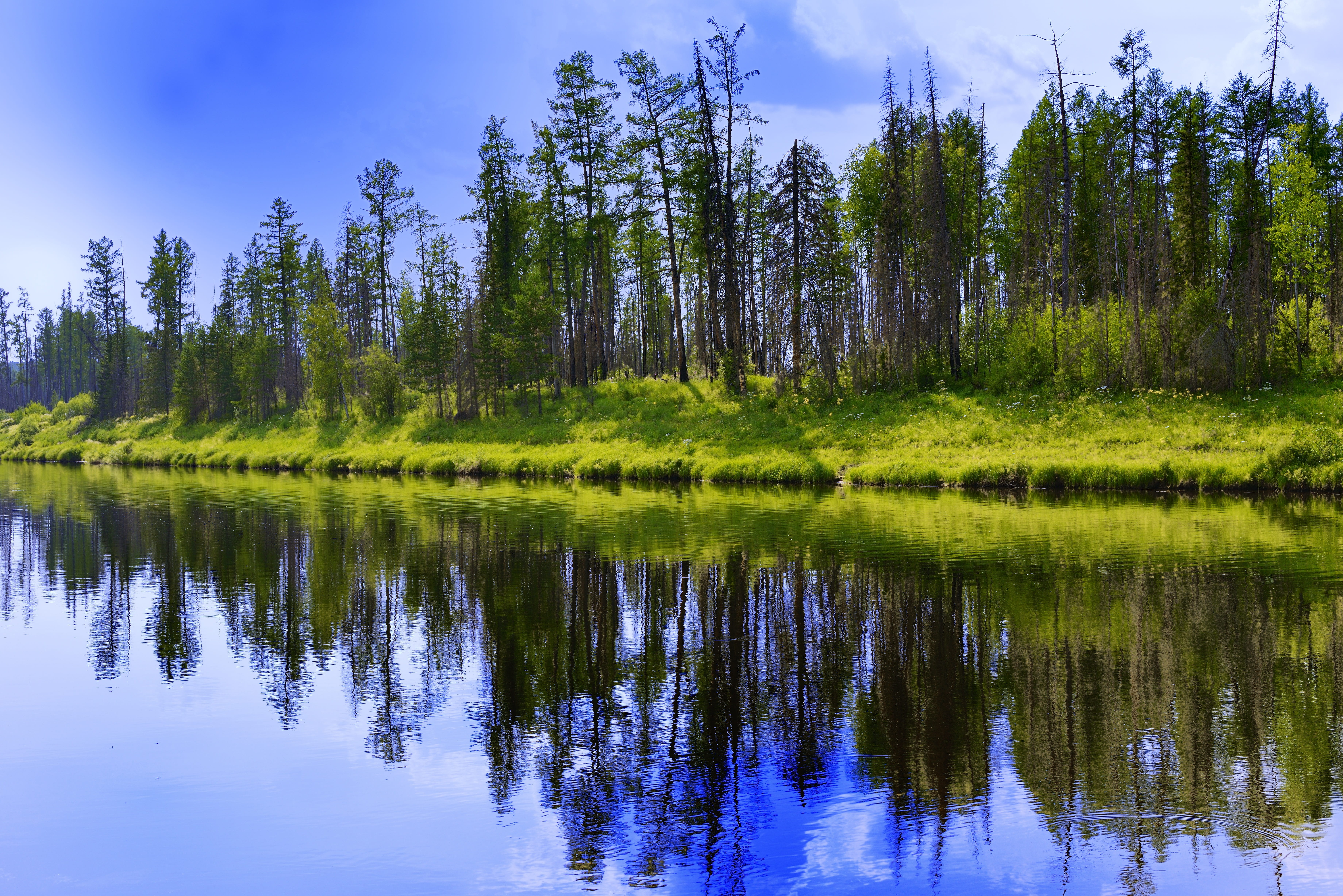 siberia, growth, scenics - nature, tree, river, idyllic, beauty in nature, no people, lake, reflection lake, non-urban scene, sky, reflection, tranquil scene, HD Wallpaper