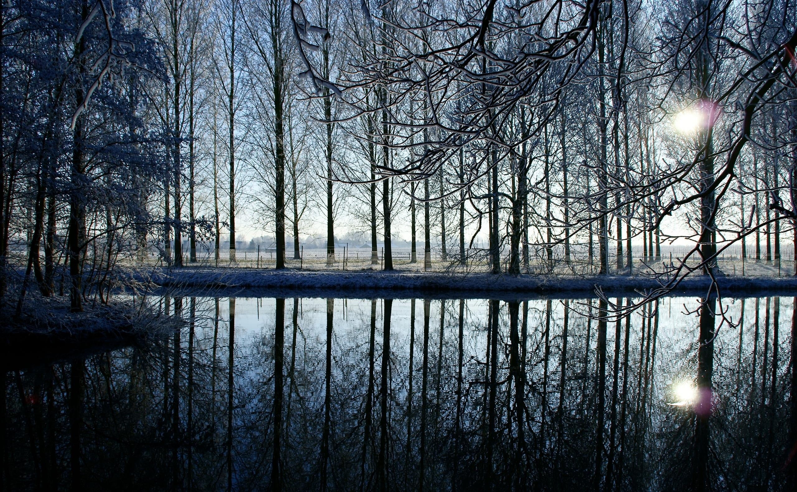 river, tranquility, Landscapes, no people, rijn, tree, scenics - nature, water, sun, Nature, bright, waterfront, branch, non-urban scene, lake, sunlight, HD Wallpaper