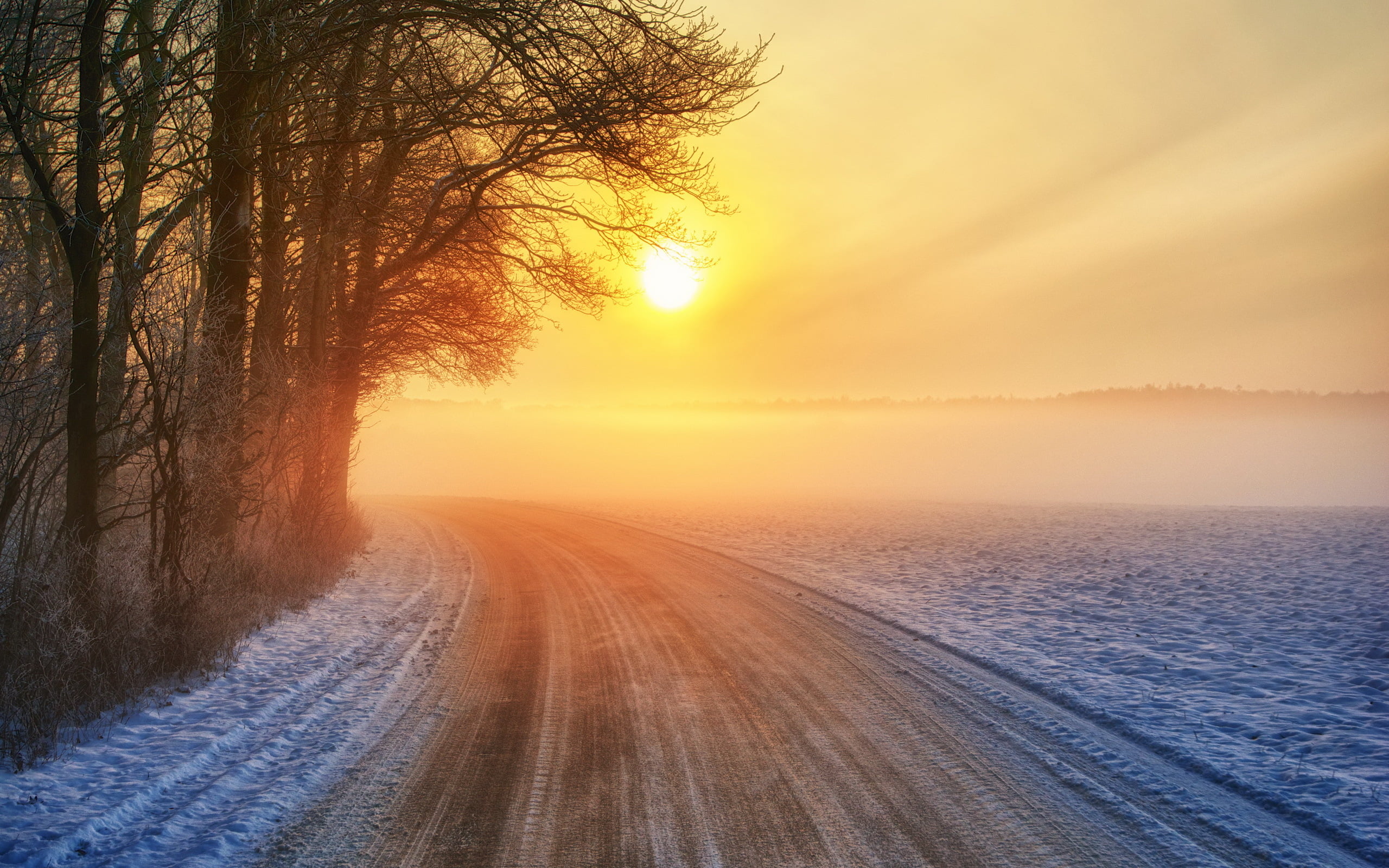 nature, diminishing perspective, no people, orange color, outdoors, plant, sun, tranquility, bare tree, transportation, golden, cold temperature, hour, HD Wallpaper