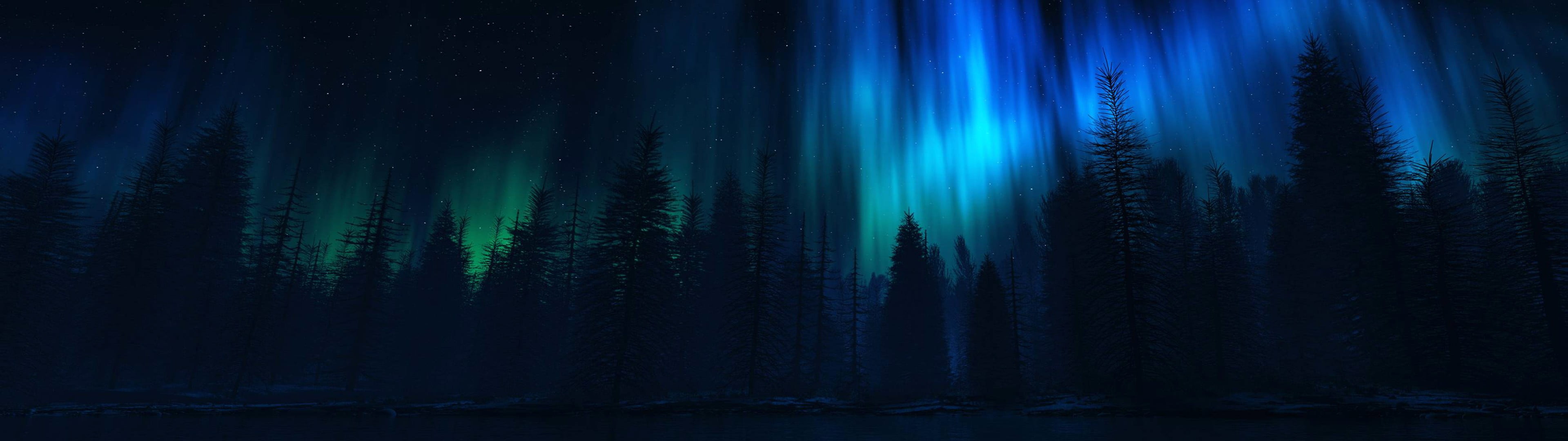 woodland, pine tree, christmas, 4K, tranquility, no People, aurora Polaris, scenics - nature, land, blue, luminosity, plant, backgrounds, light - Natural Phenomenon, HD Wallpaper