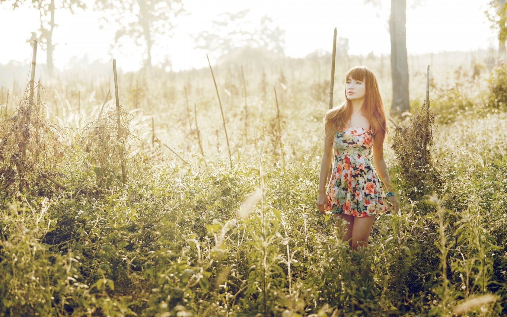 720P, outdoors, plant, hair, young adult, fashion, women, one person, sundress, beauty, brunette, grass, long hair, tree, dress, Asian, land, young women, HD Wallpaper
