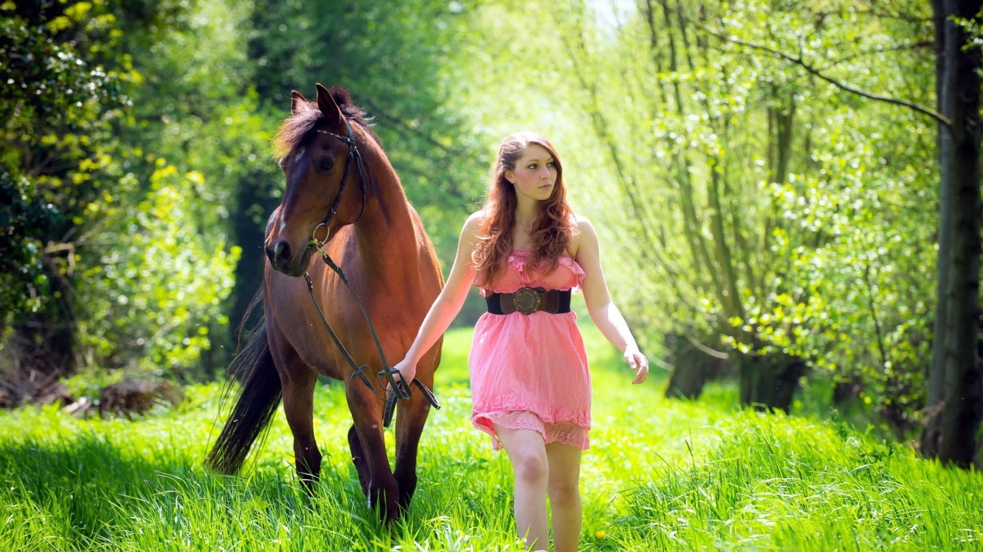 model, outdoors, mammal, women, livestock, domestic, trees, horse, pets, grass, long hair, one person, brunette, animals, land, women outdoors, beauty, HD Wallpaper
