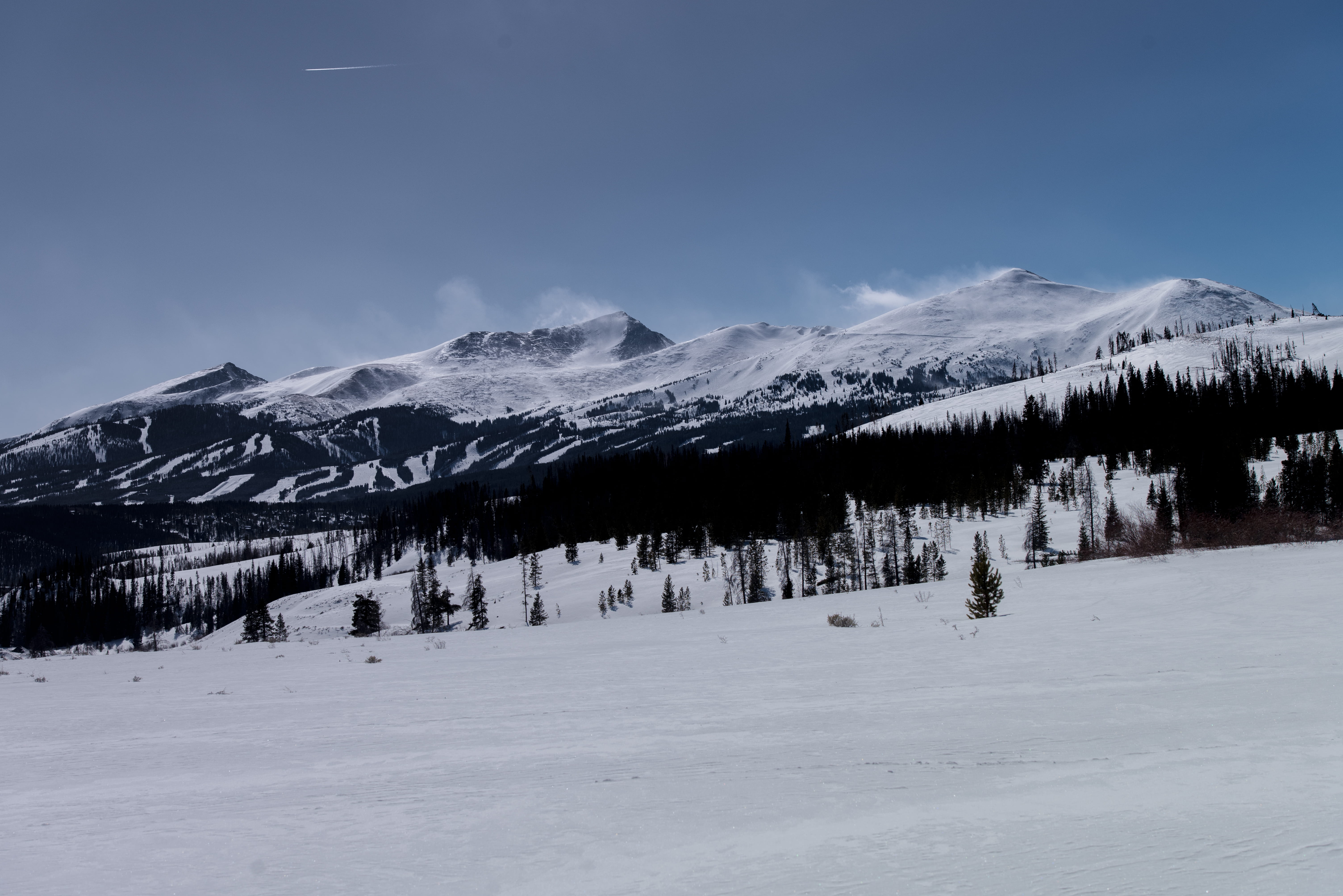 trees, 5K, sky, mountain peak, snow, tranquility, scenics - nature, non-urban scene, snowcapped mountain, blue, mountain range, no people, silverthorne, HD Wallpaper
