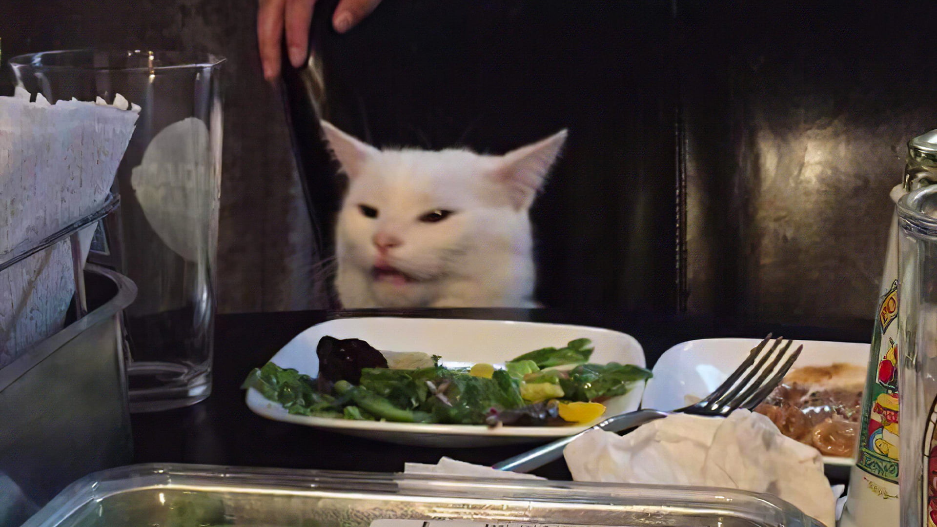 memes, 1080P, food, HD Wallpaper