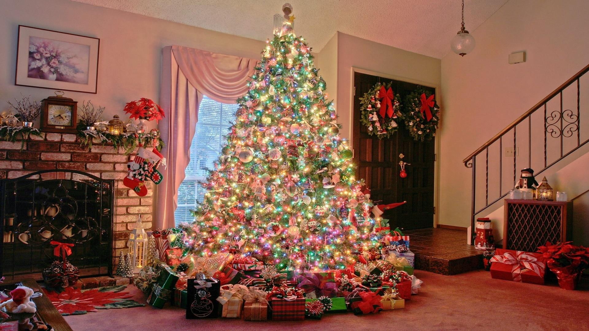 family, nature and landscapes, families, christmas, presents, 1080P, trees, tree, holidays, winter, HD Wallpaper