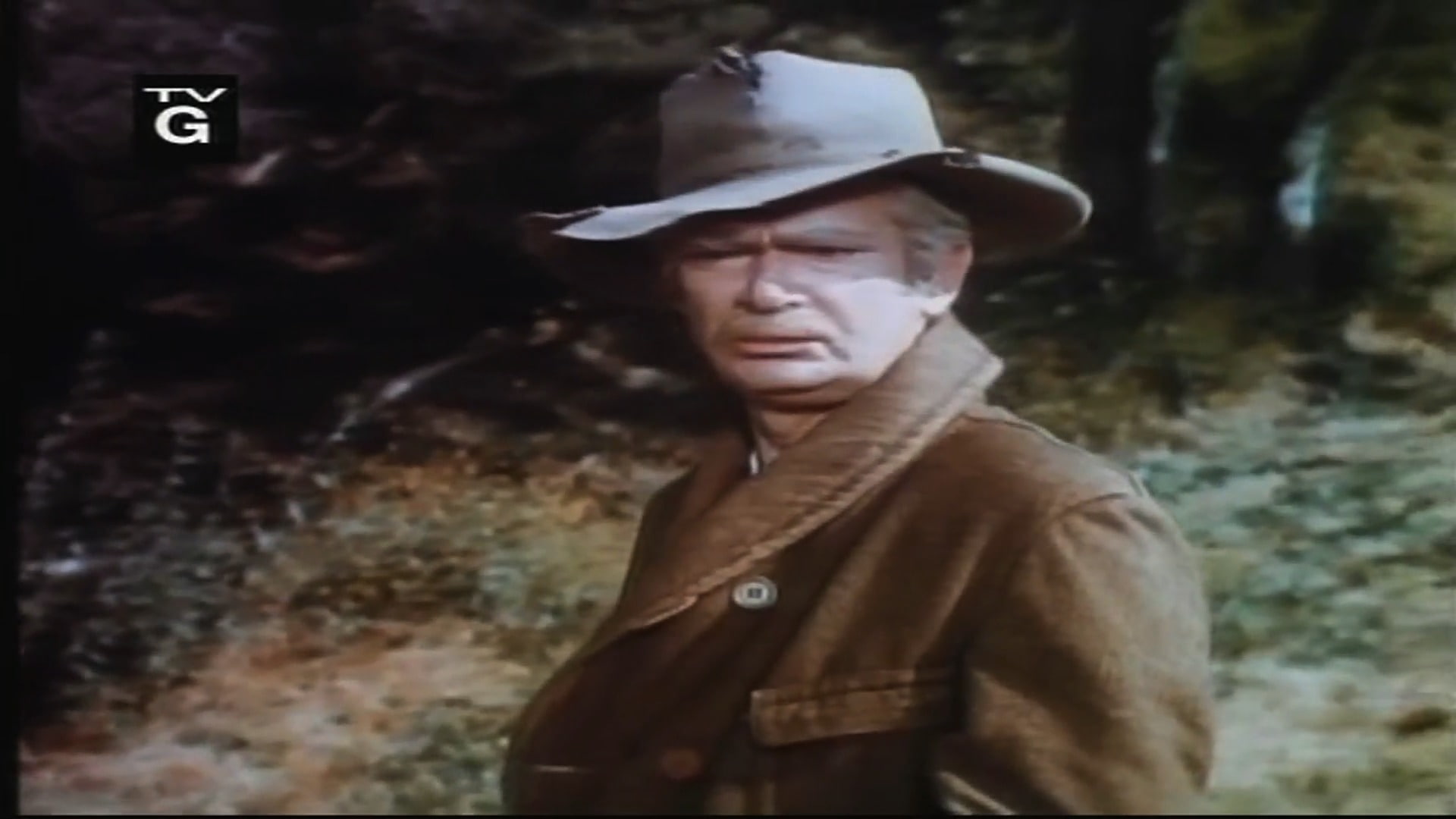 The Beverly Hillbillies, Beverly Hillbillies, 1080P, TV Show, HD Wallpaper