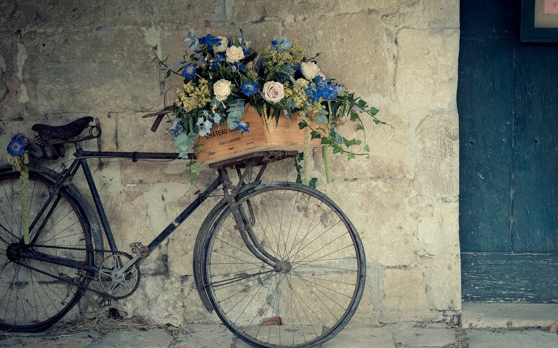 support, flower, Bicycle, 1080P, vintage, HD Wallpaper