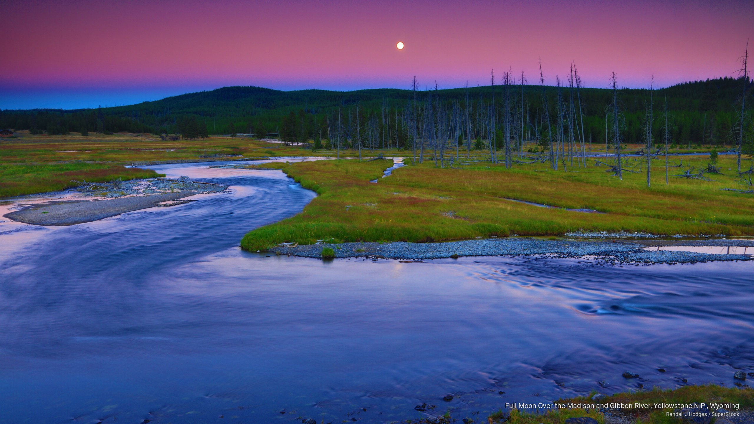 2K, yellowstone, full, madison, National Parks, gibbon, n, p, wyoming, river, moon, HD Wallpaper