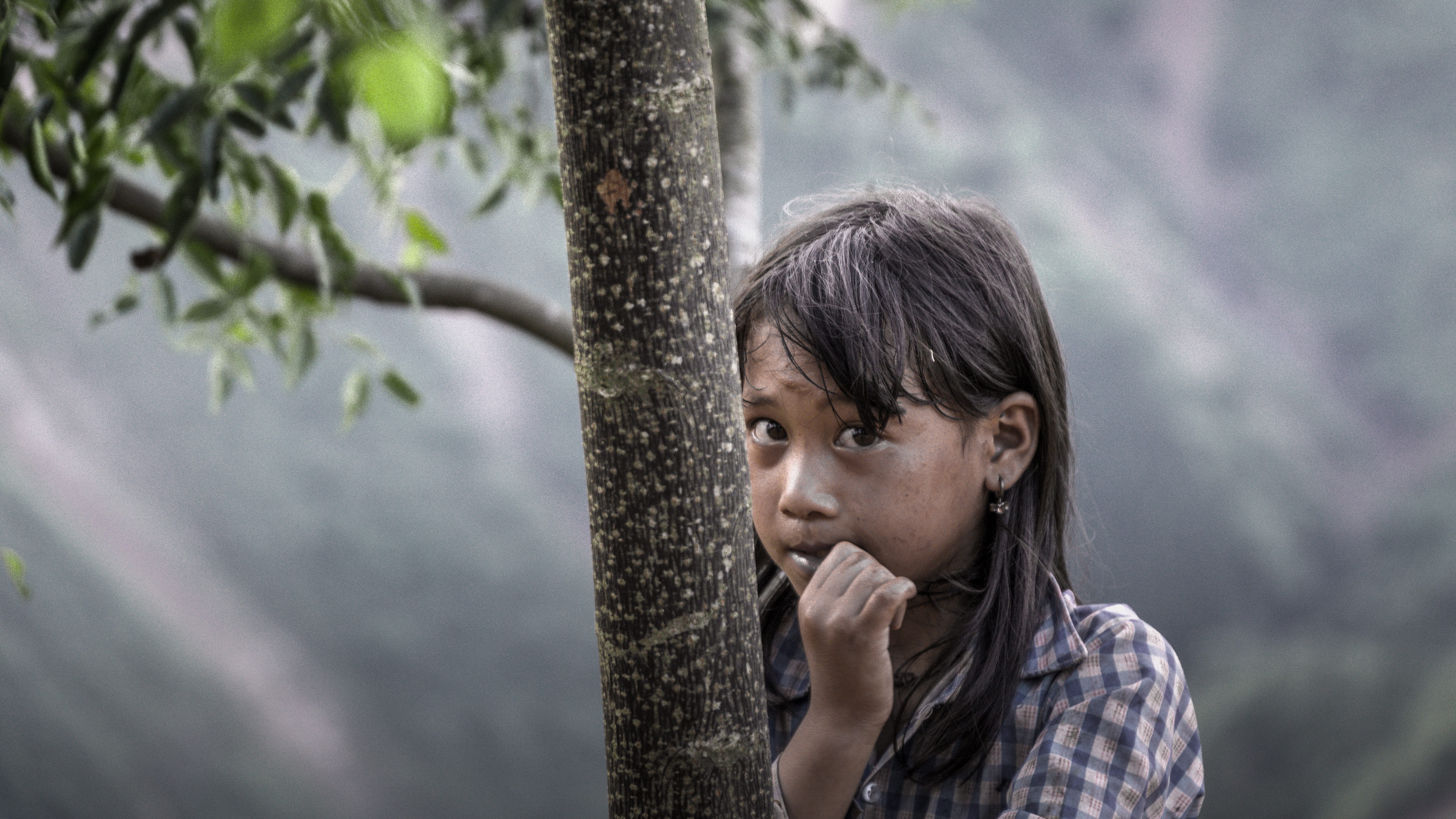 innocence, person, grey, girls, headshot, outdoors, produce, childhood, child, food, kid, tree trunk, tree, hairstyle, offspring, mammal, animal, nature, HD Wallpaper
