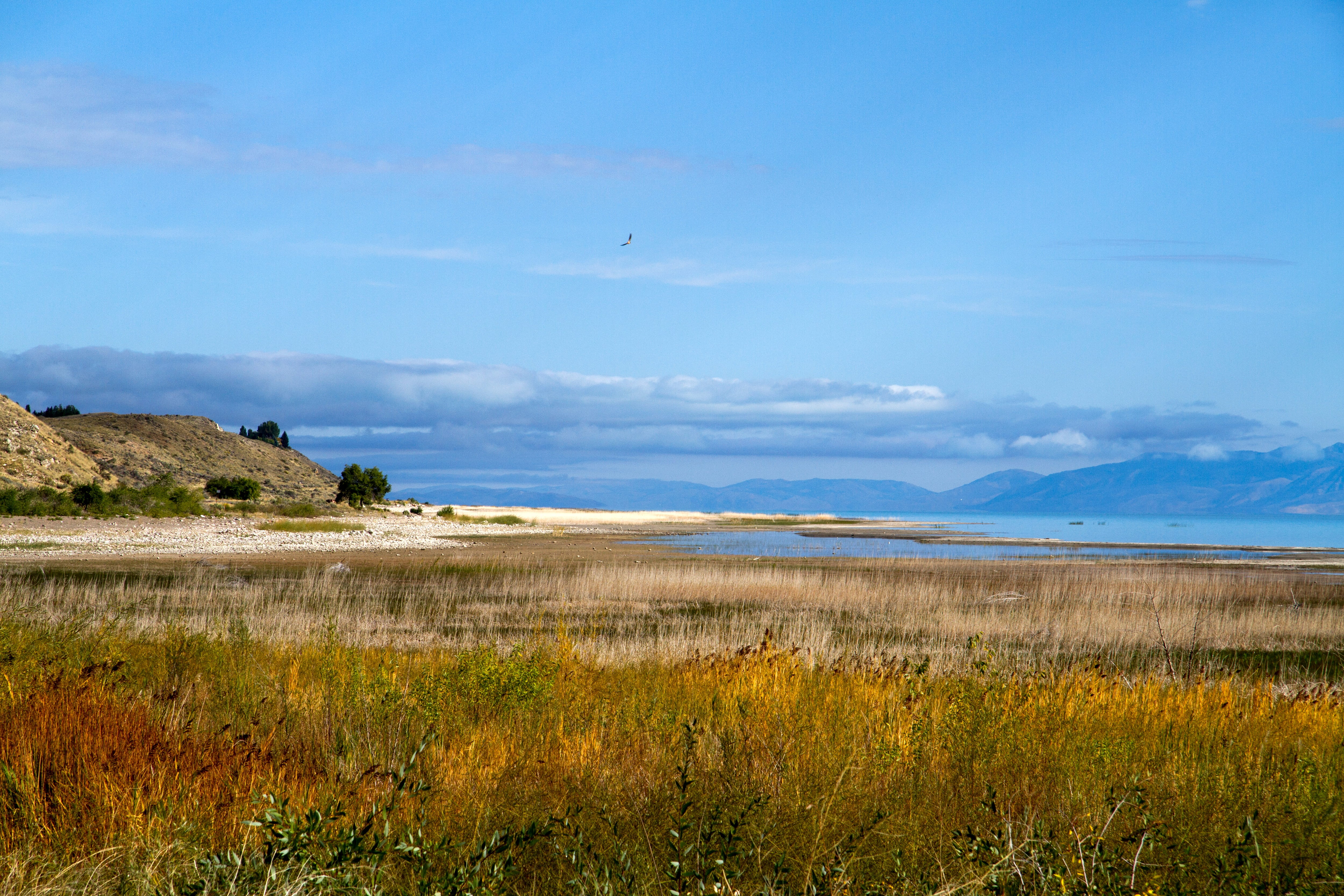 tranquil scene, mountain range, landscape, semi-arid, America, water, baer lake, scenics - nature, plant, Utah, outdoors, sky, beauty in nature, nature, HD Wallpaper