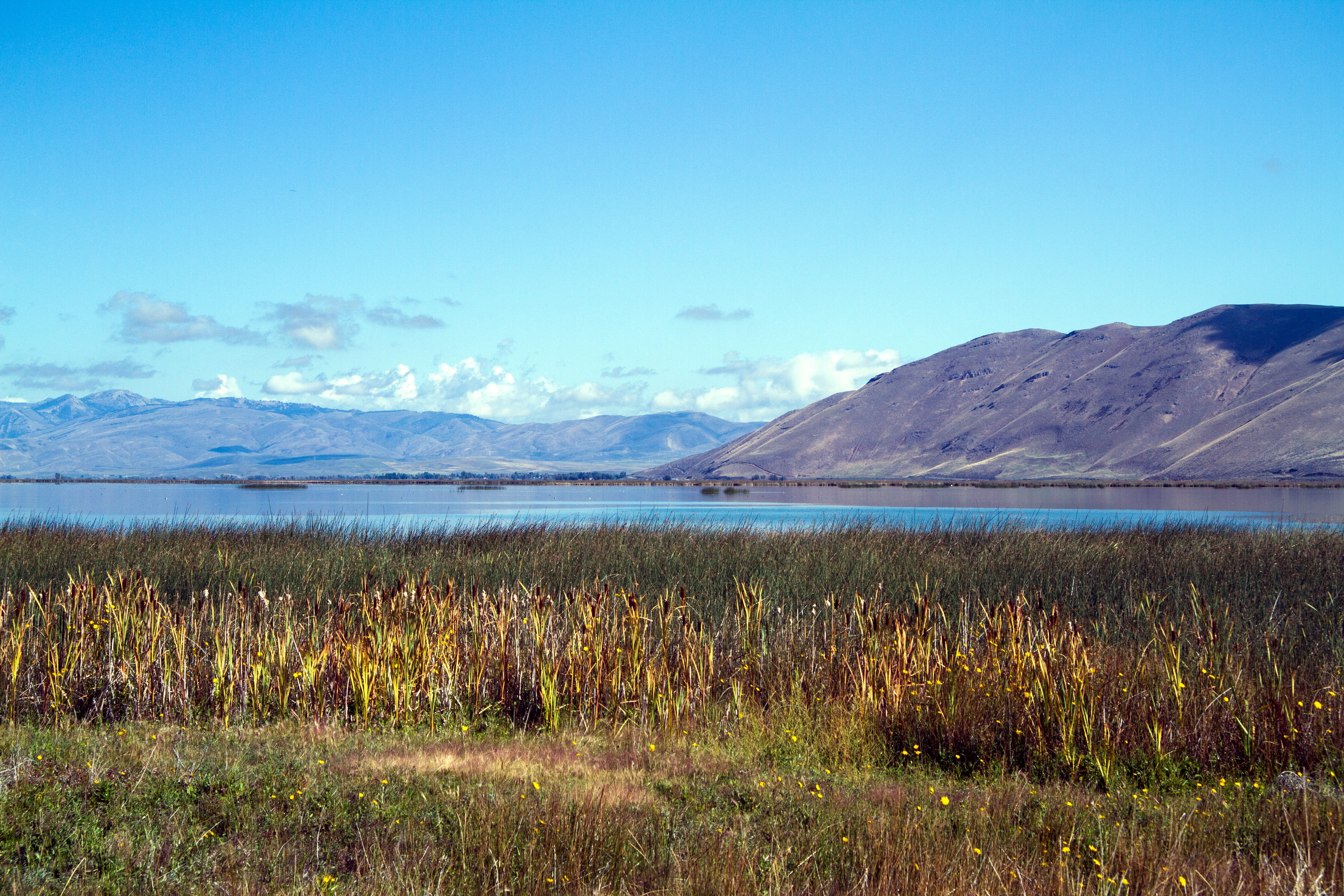 Baer, tranquility, snowcapped mountain, plant, cloud - sky, America, Usa, nature, scenics - nature, water, scenics, landscape, blue, land, Idaho, beauty in nature, HD Wallpaper