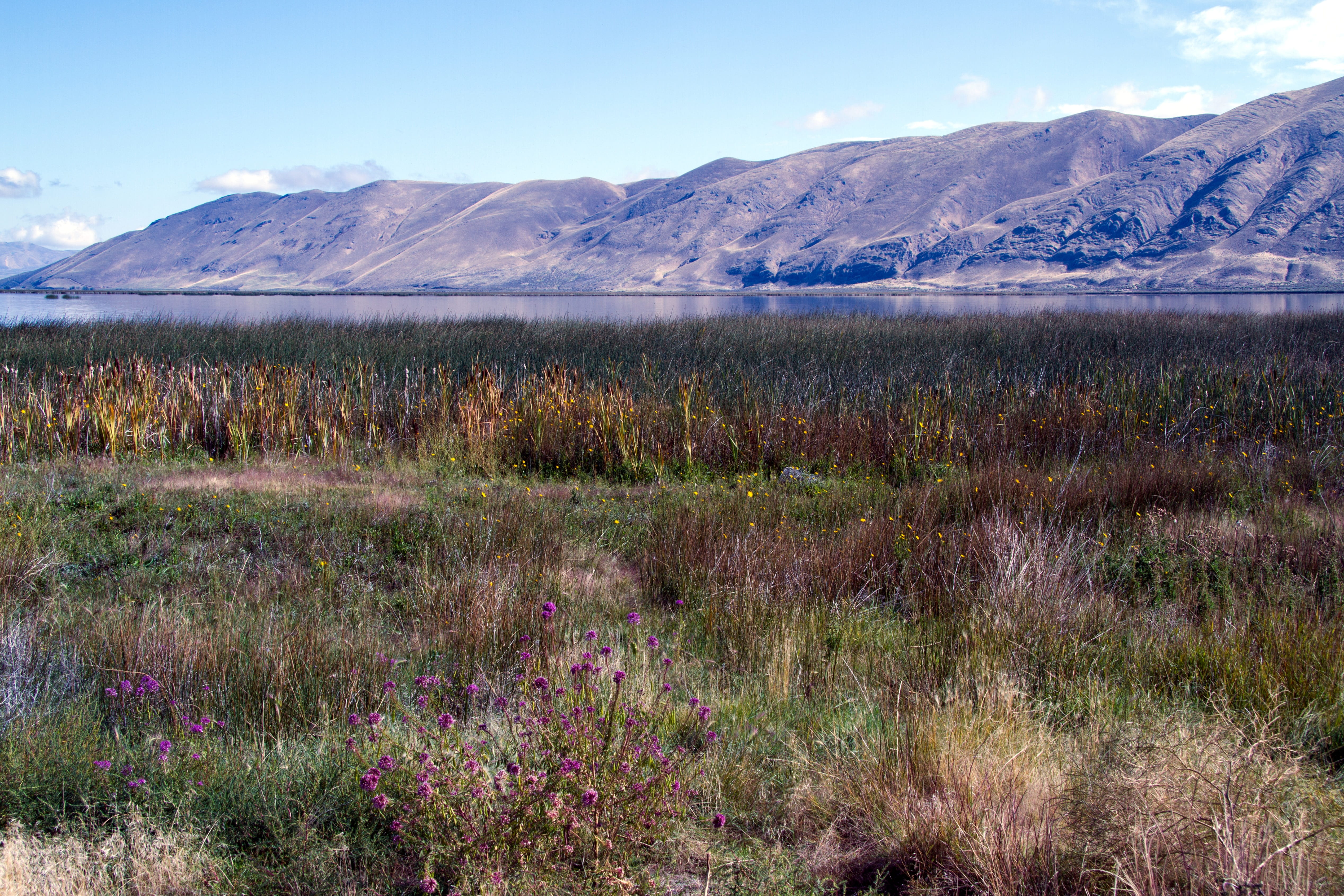 field, Baer, Utah, growth, scenics - nature, no People, day, baer lake, 4K, nature, sky, outdoors, extreme Terrain, landscape, grass, Usa, tranquil scene, HD Wallpaper