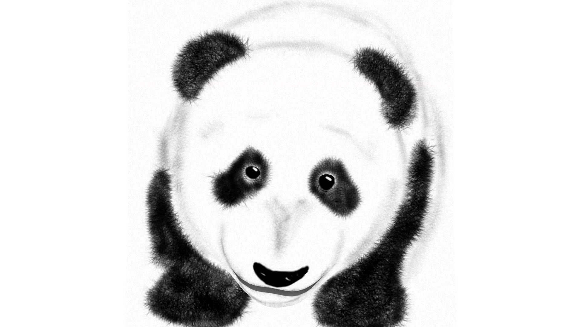 cute, baby, bears, panda, pandas, baer, 1080P, HD Wallpaper