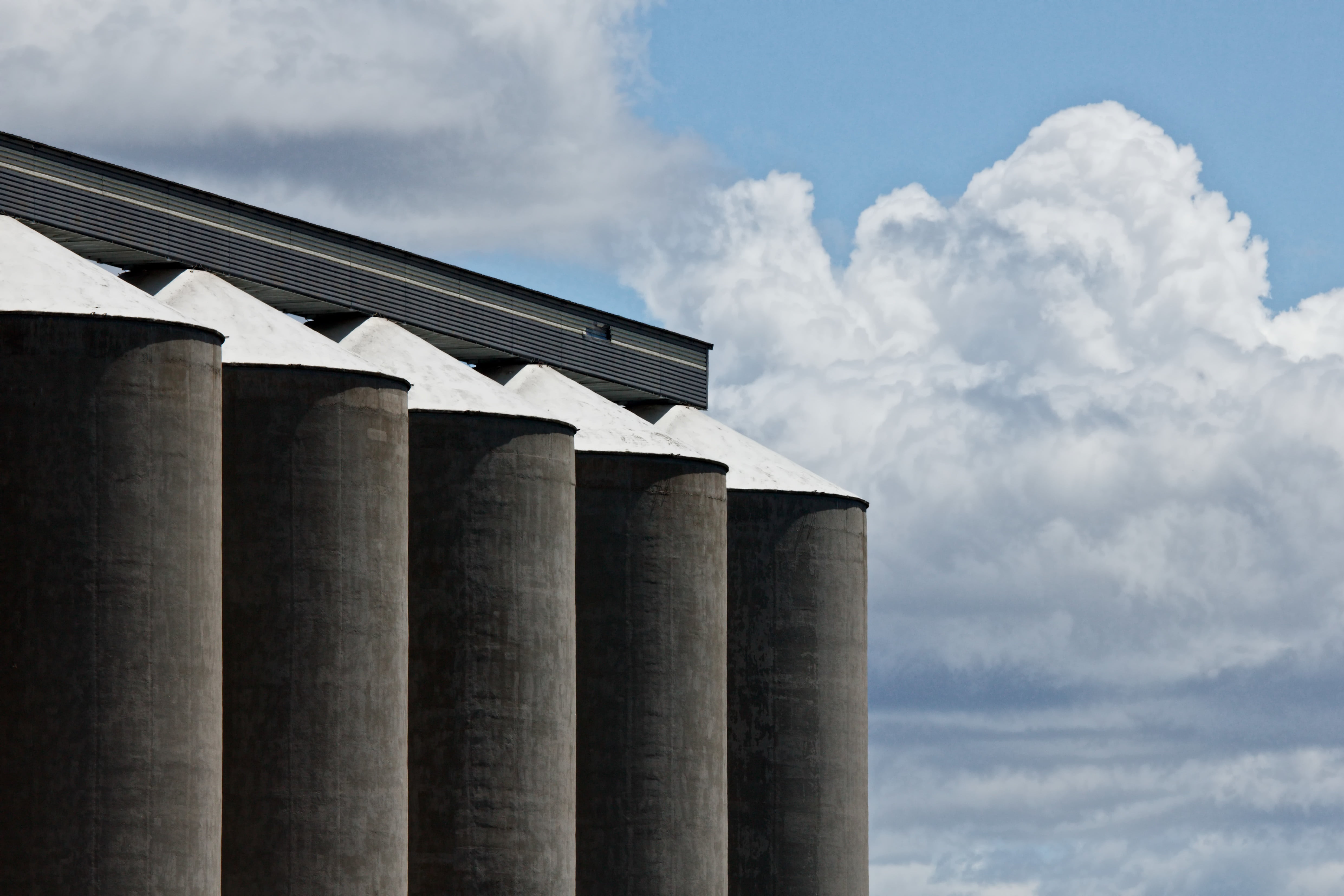 outdoors, food, cloud - sky, 4K, harvest, architectural Column, factory, industry, grain silo, day, corn, poisonous, in a row, sky, no people, grain, crop, HD Wallpaper