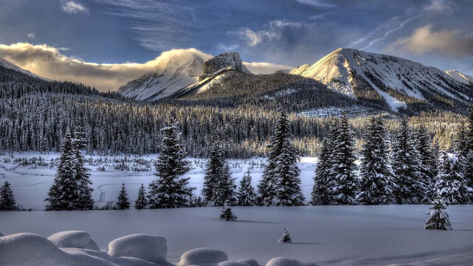 season, scenery, day, scenics - nature, cold, plant, beauty in nature, forest, sun, mountain range, scenic, mountain peak, non-urban scene, travel, no people, HD Wallpaper