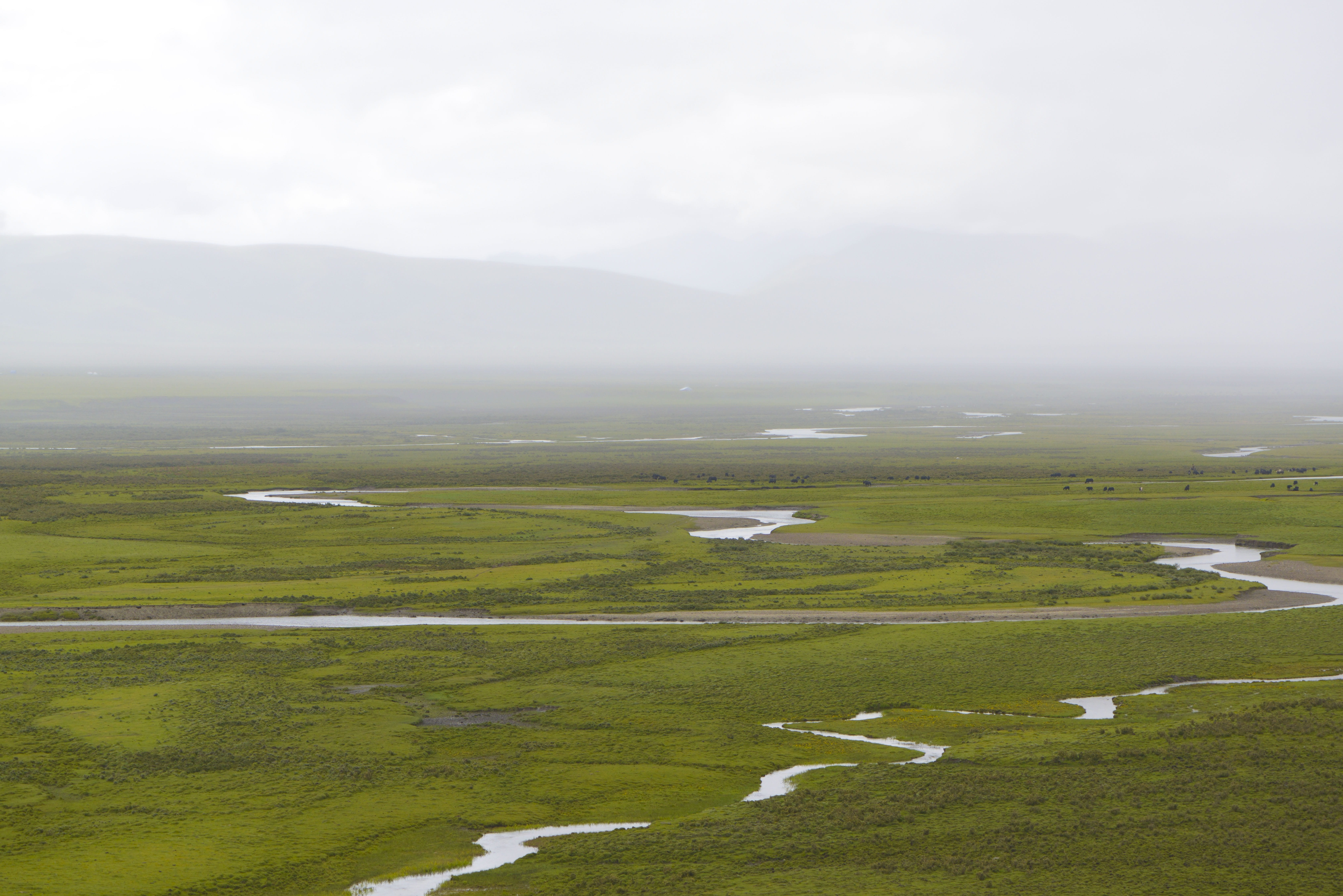 tranquil scene, Landscape, sky, River, environment, 5K, Prairie, land, beauty in nature, fog, non-urban scene, nature, outdoors, field, green color, no people, HD Wallpaper