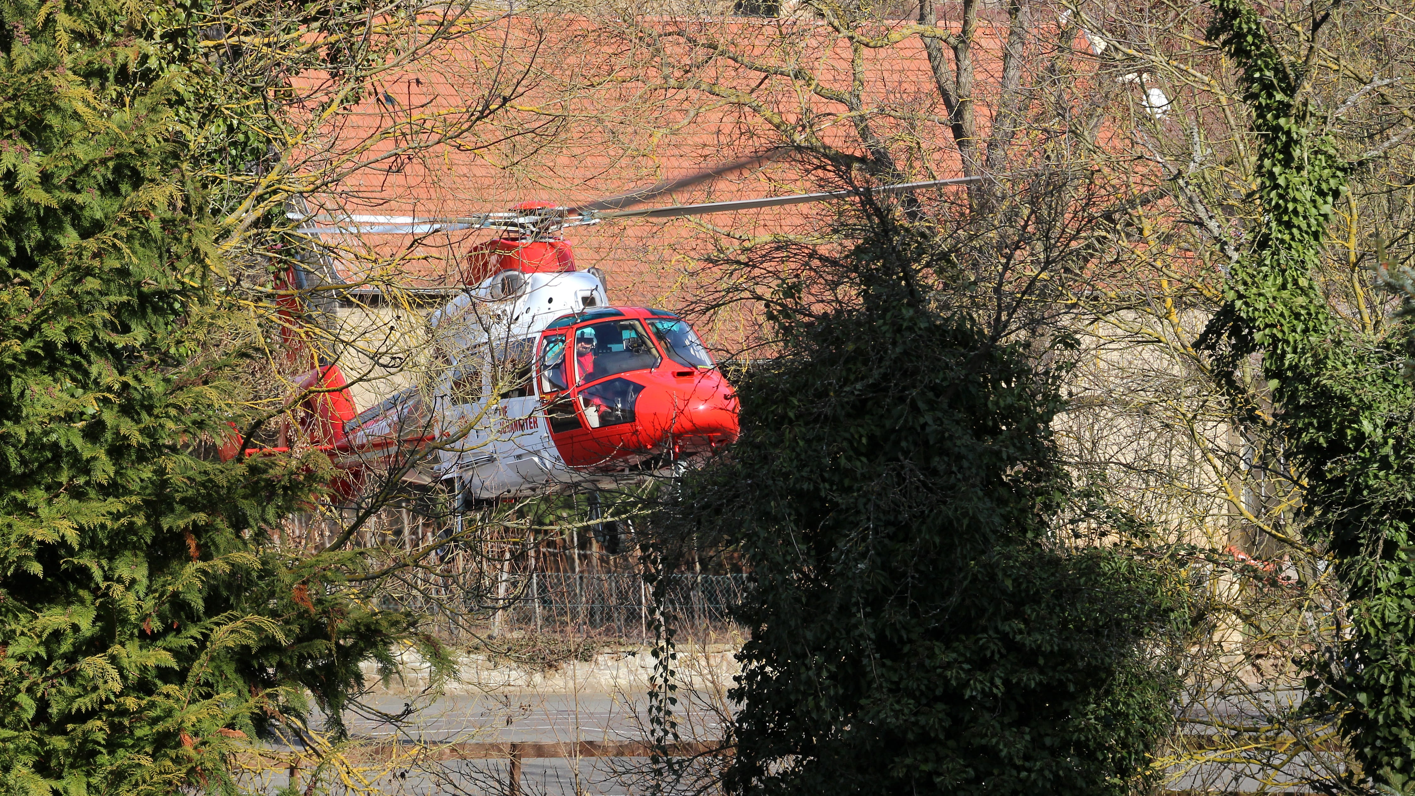 air rescue, forest, rescue, flying, nature, day, no people, accident rescue, sunlight, use, helicopter, red, tree, outdoors, growth, ambulance helicopter, HD Wallpaper