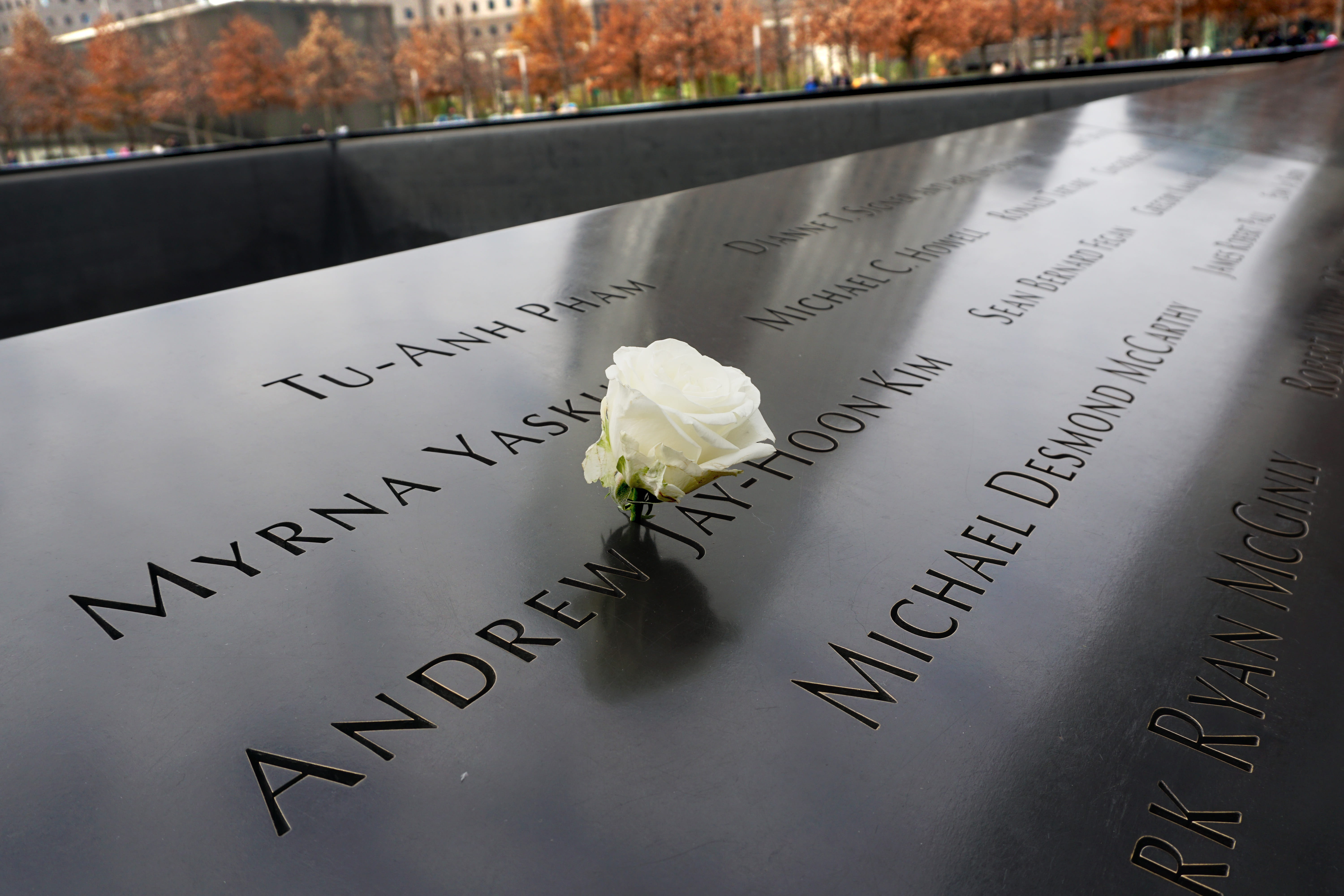 world trade center, western script, New York City, message, Skyscraper, day, white color, metal, Nyc, 5K, big city, freshness, New York, nature, high angle view, HD Wallpaper