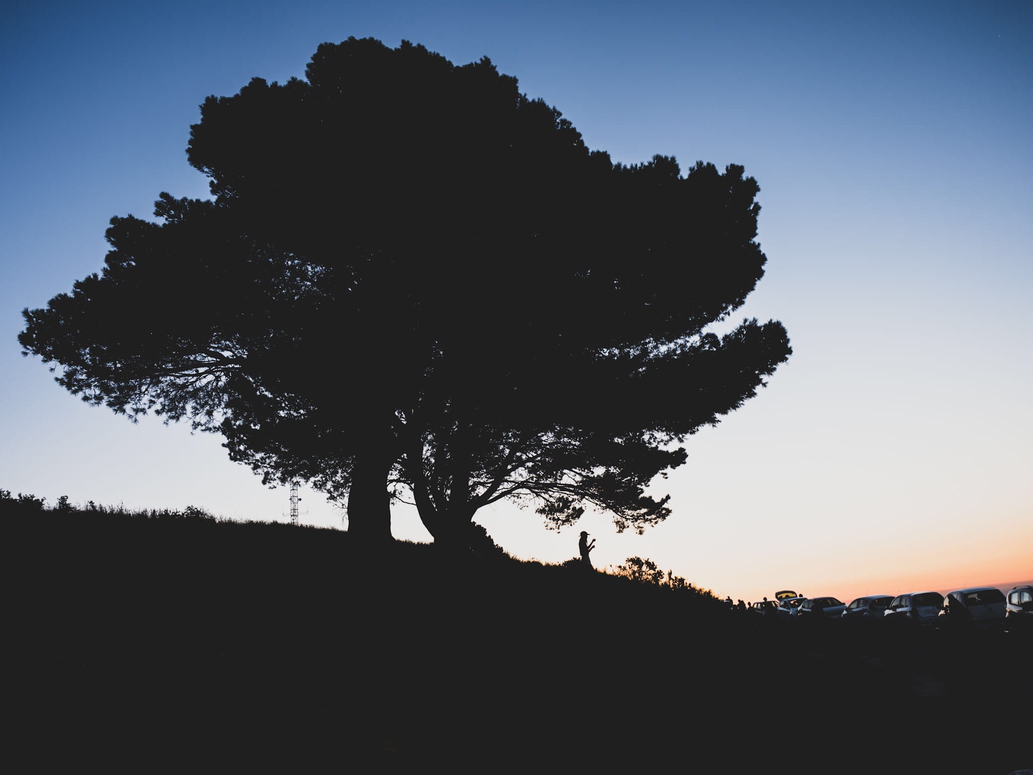 scenics - nature, sunset, cape town, clear sky, tranquility, plant, environment, outdoors, south africa, beauty in nature, woman, non-urban scene, sky, HD Wallpaper