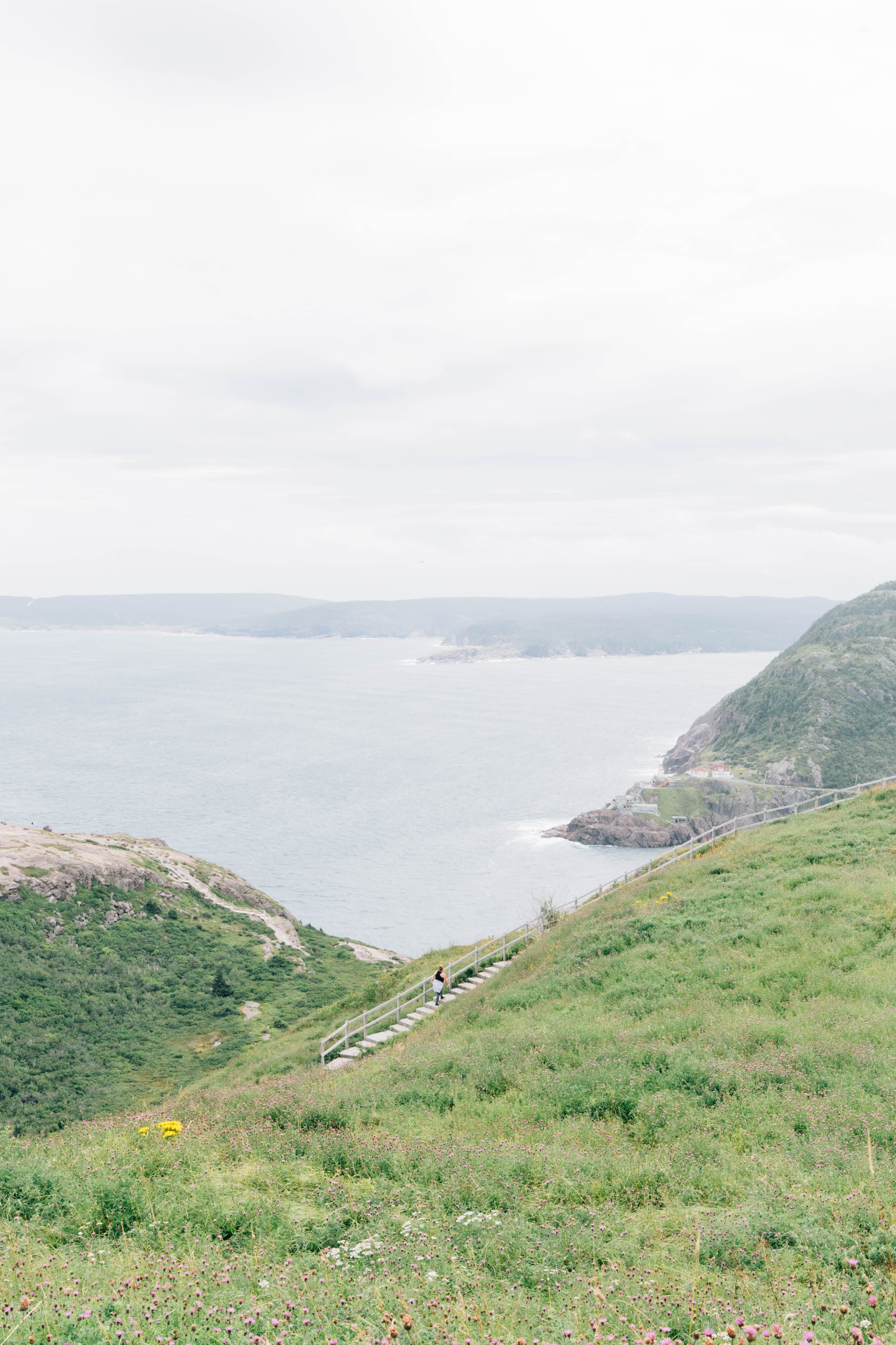 green color, st. johns, newfoundland, 5K, no people, sky, tranquil scene, cloud - sky, landscape, canada, sea, nature, ocean, grass, environment, plant, Phone HD Wallpaper