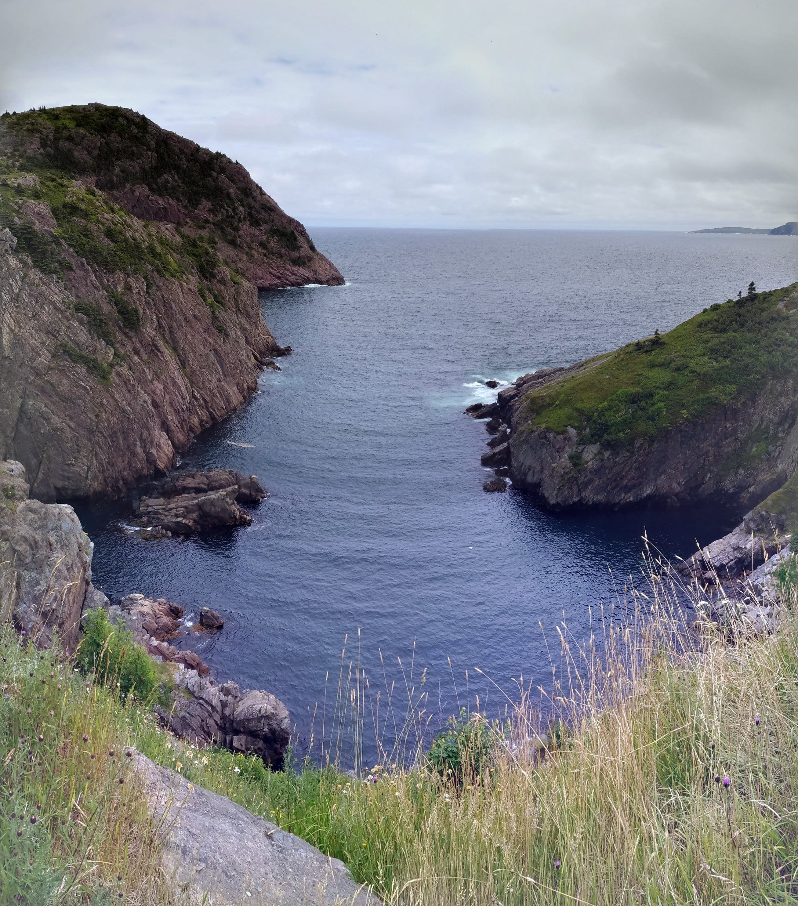 horizon over water, newfoundland, tranquility, water, idyllic, rocky coastline, cliff, cliffs, cloud - sky, cove, 2K, panoramic, ocean, plant, johns, landscape, Phone HD Wallpaper