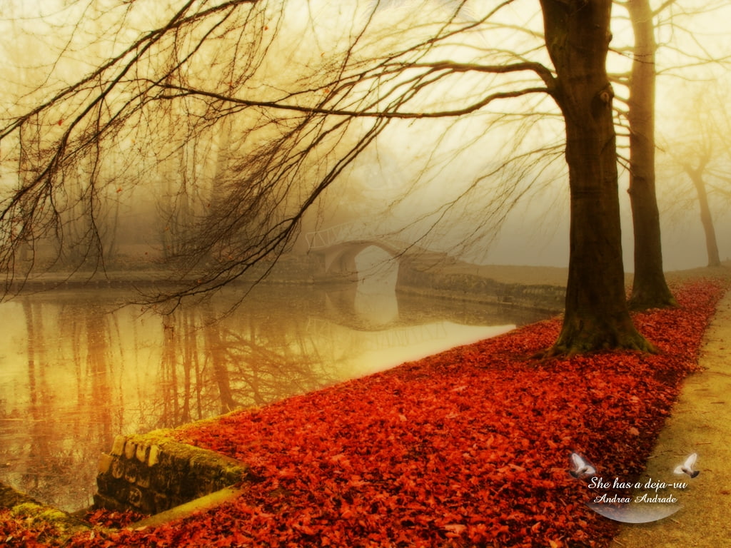 thoughts, romantic, colors, deja-vu, lot, hd, vu, 480P, bridge, autumn, lake, leaves, trees, brown, deja, nature, red, HD Wallpaper