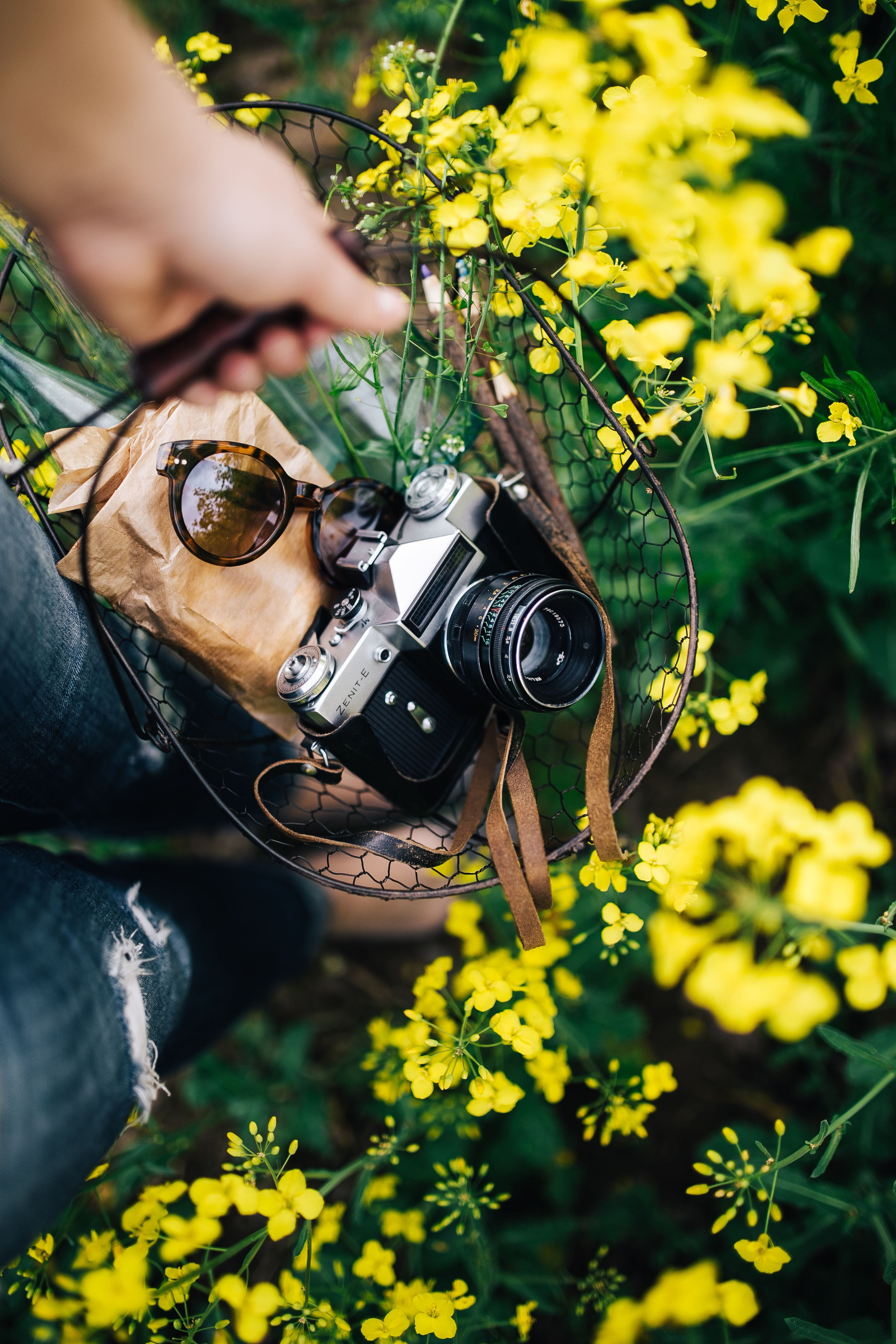 adult, plant, occupation, day, photography Themes, human hand, camera - Photographic Equipment, flower, photography, camera, photographer, real people, Phone HD Wallpaper