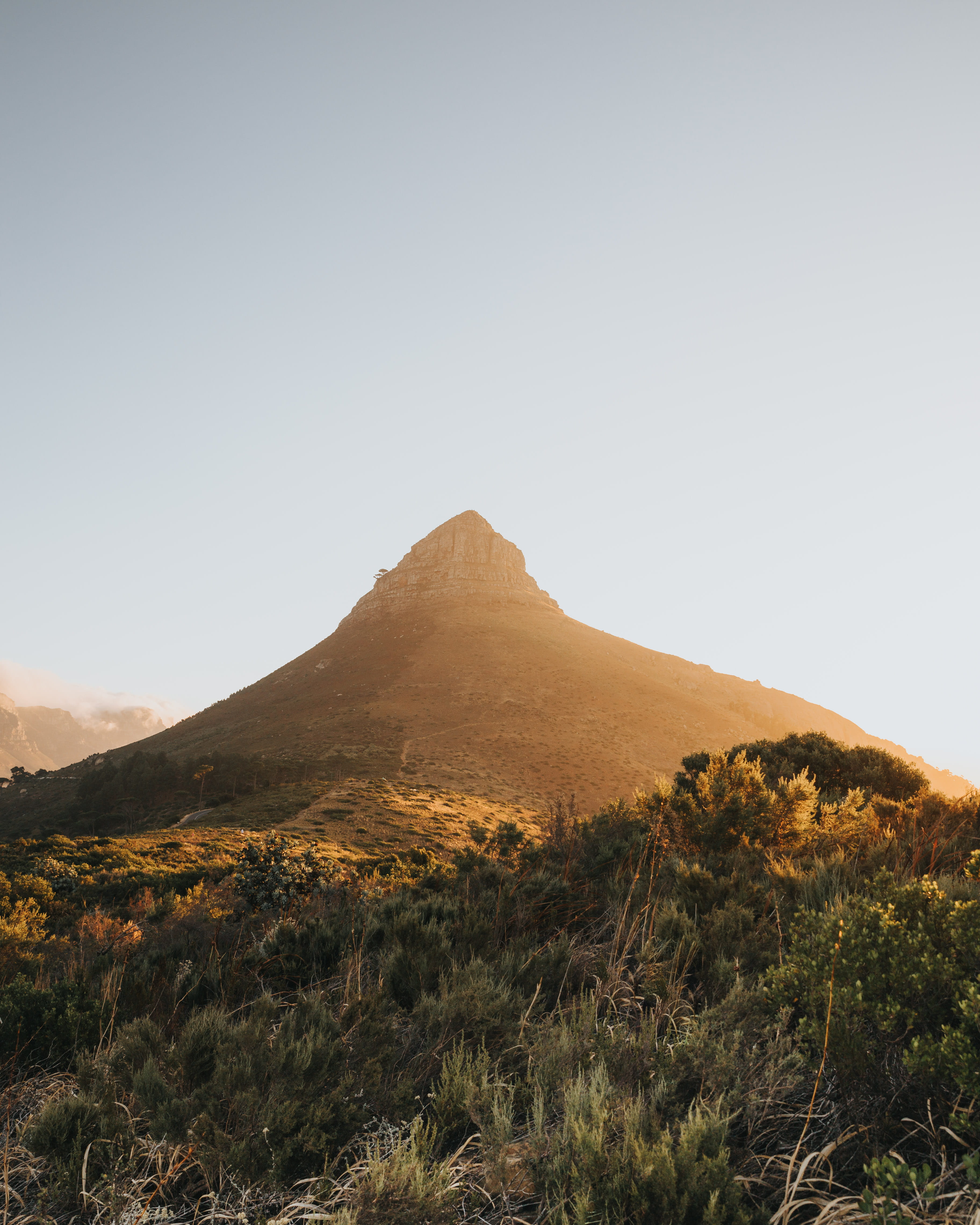 idyllic, growth, brown, tranquility, no people, adventure, wilderness, clear sky, remote, 4K, beauty in nature, land, near, plant, trees, mountain, outdoors, Phone HD Wallpaper