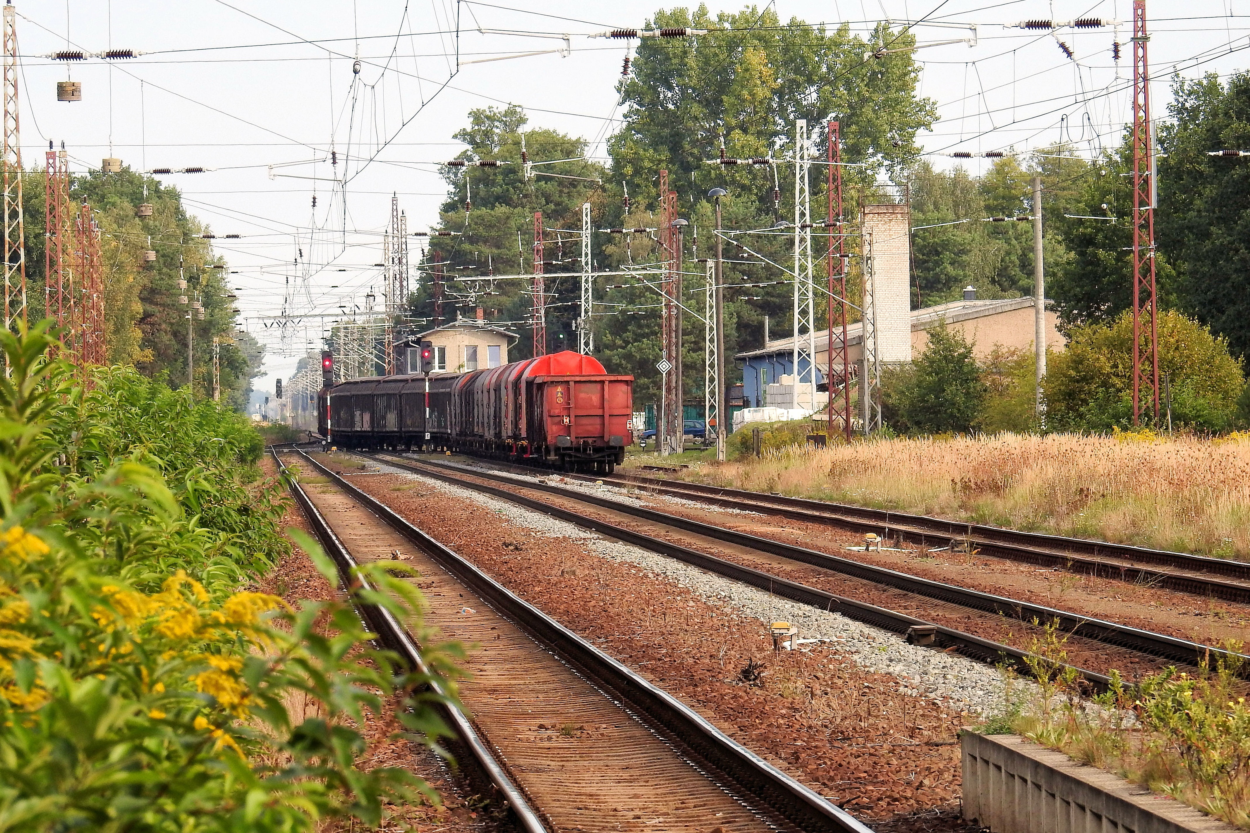 public transportation, transport, track, cable, sky, power line, tree, train, transportation, shunting yard, electricity pylon, travel, no people, freight train, HD Wallpaper