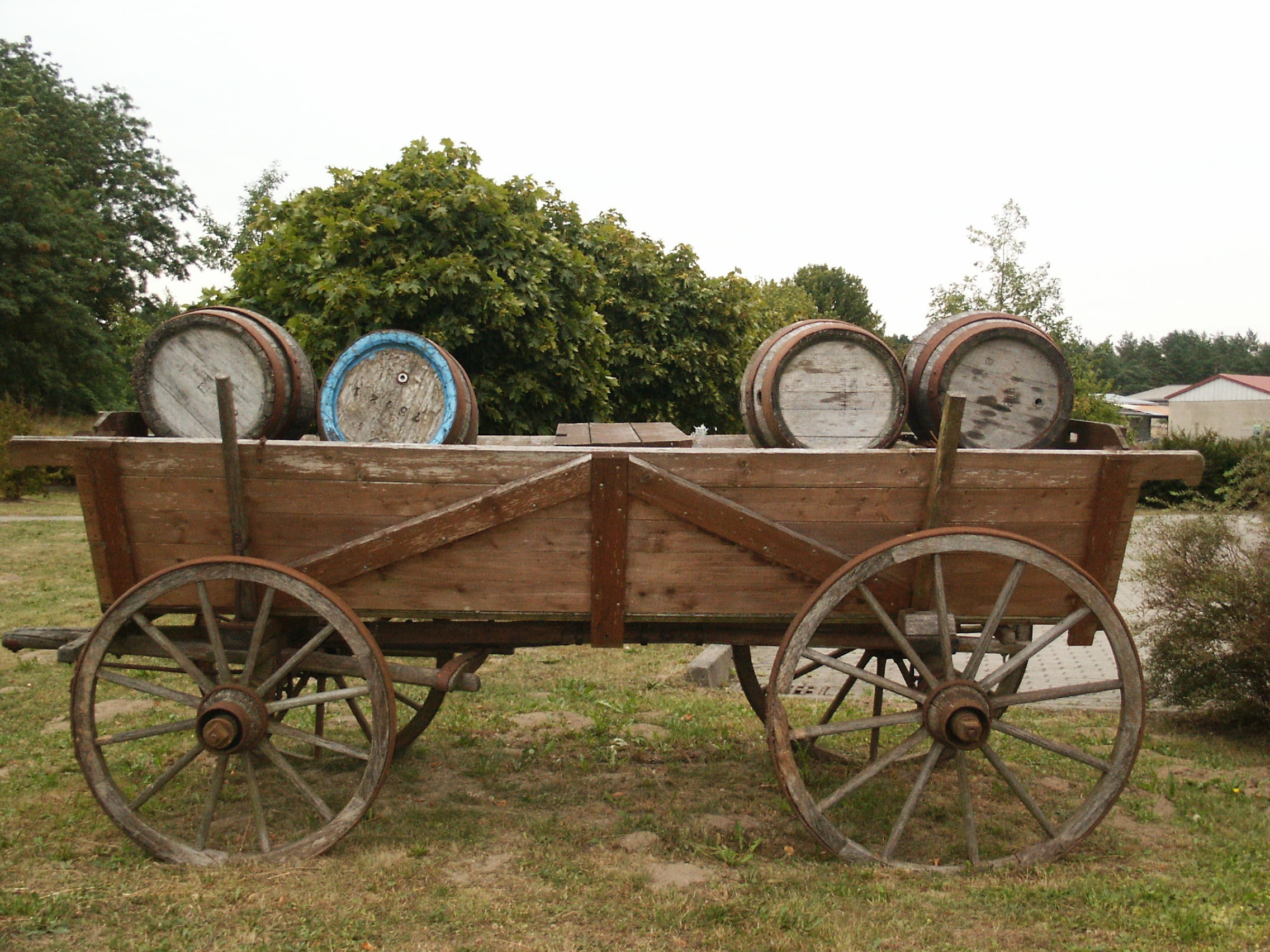 old, transport trolley, nature, wheel, transportation, barrel, in a row, no people, tranquility, order, shipping, wood - material, tree, drove operating, HD Wallpaper