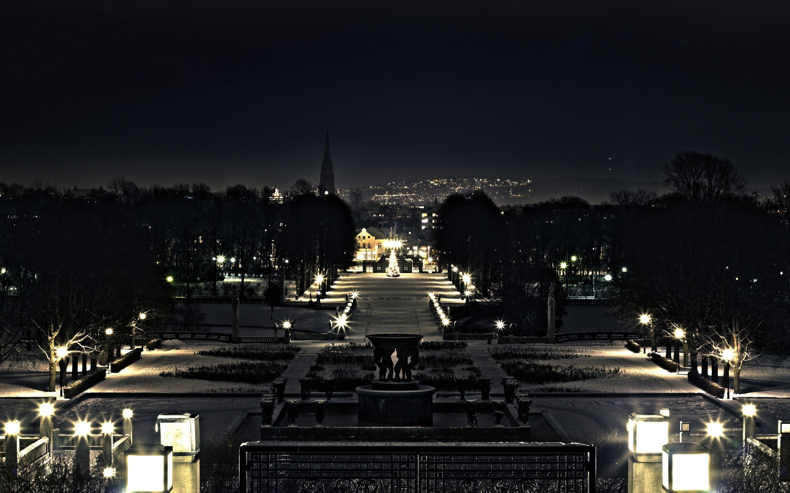night, photography, city lights, frogs, animals, 2560x1600 px, park, city, lights, px, art, hd, x, 2K, HD Wallpaper