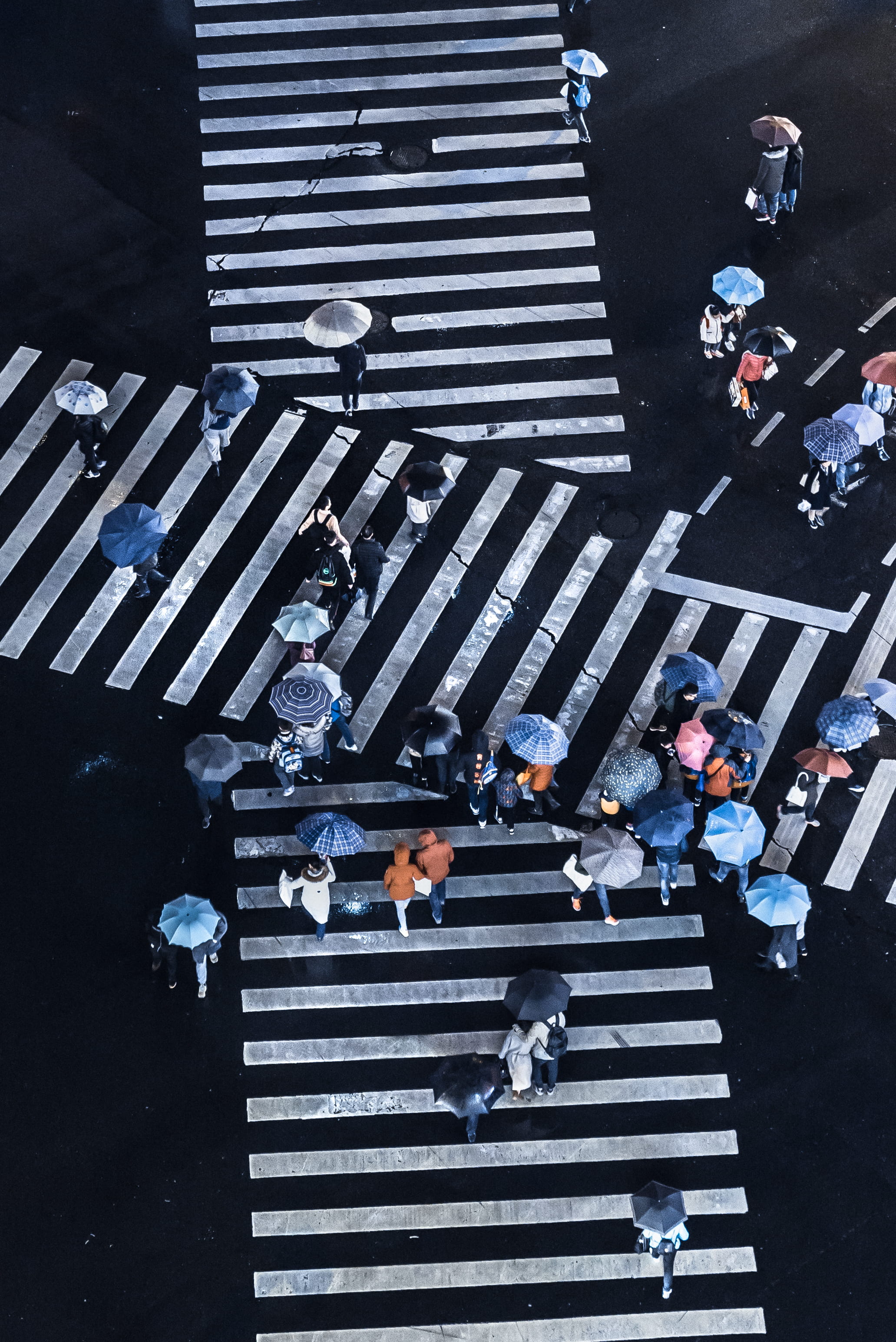 tilt, zebra crossing, umbrella, rain, road marking, group of people, real people, aerial, pedestrian, crossing, group, night, transportation, blue, photography, Phone HD Wallpaper