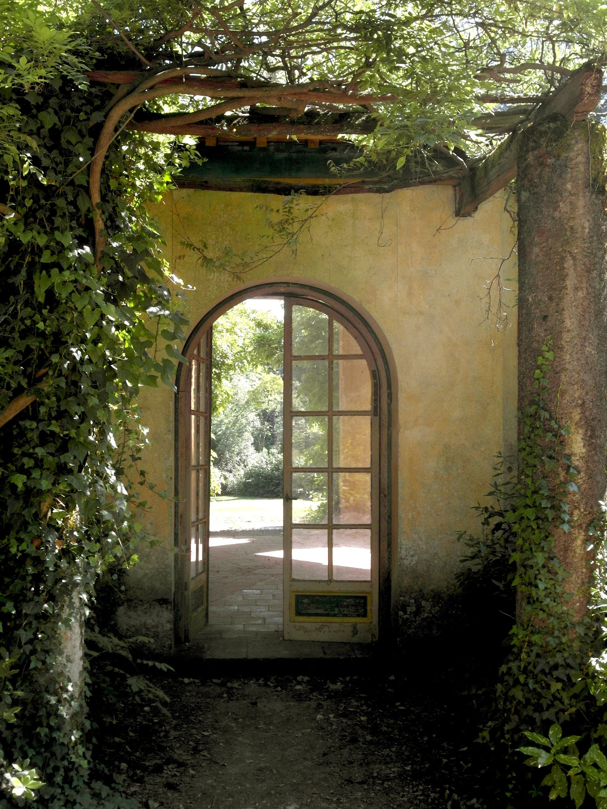 plant, building, holiday, leaf, 2K, door, no people, tuscany, built structure, landscape, arch, architecture, homes, vine, old villa, plants, tree, lite, Phone HD Wallpaper