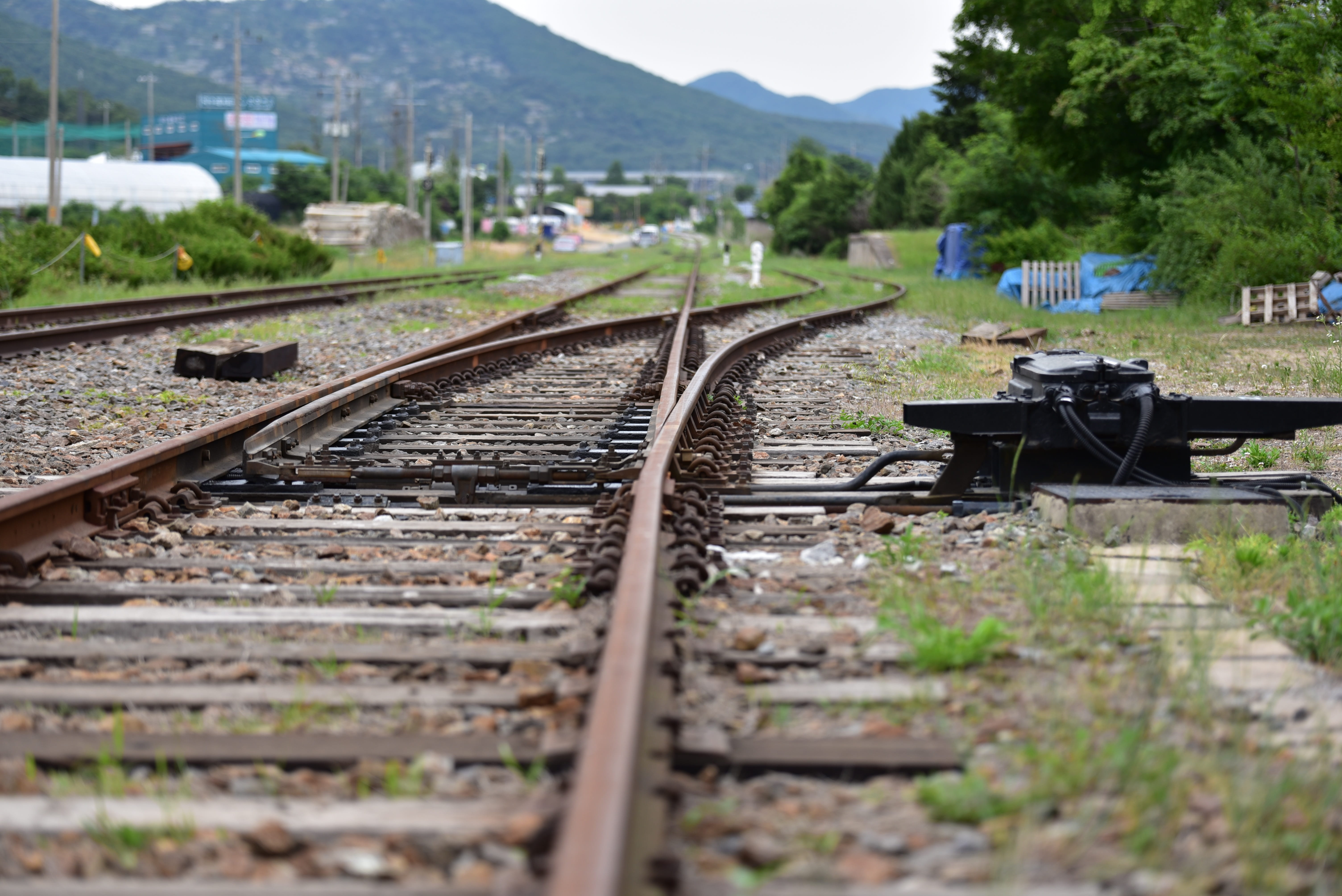 the ticket office, mode of transportation, cat, the way forward, nature, transportation, old station, train - vehicle, track, selective focus, rail transportation, HD Wallpaper