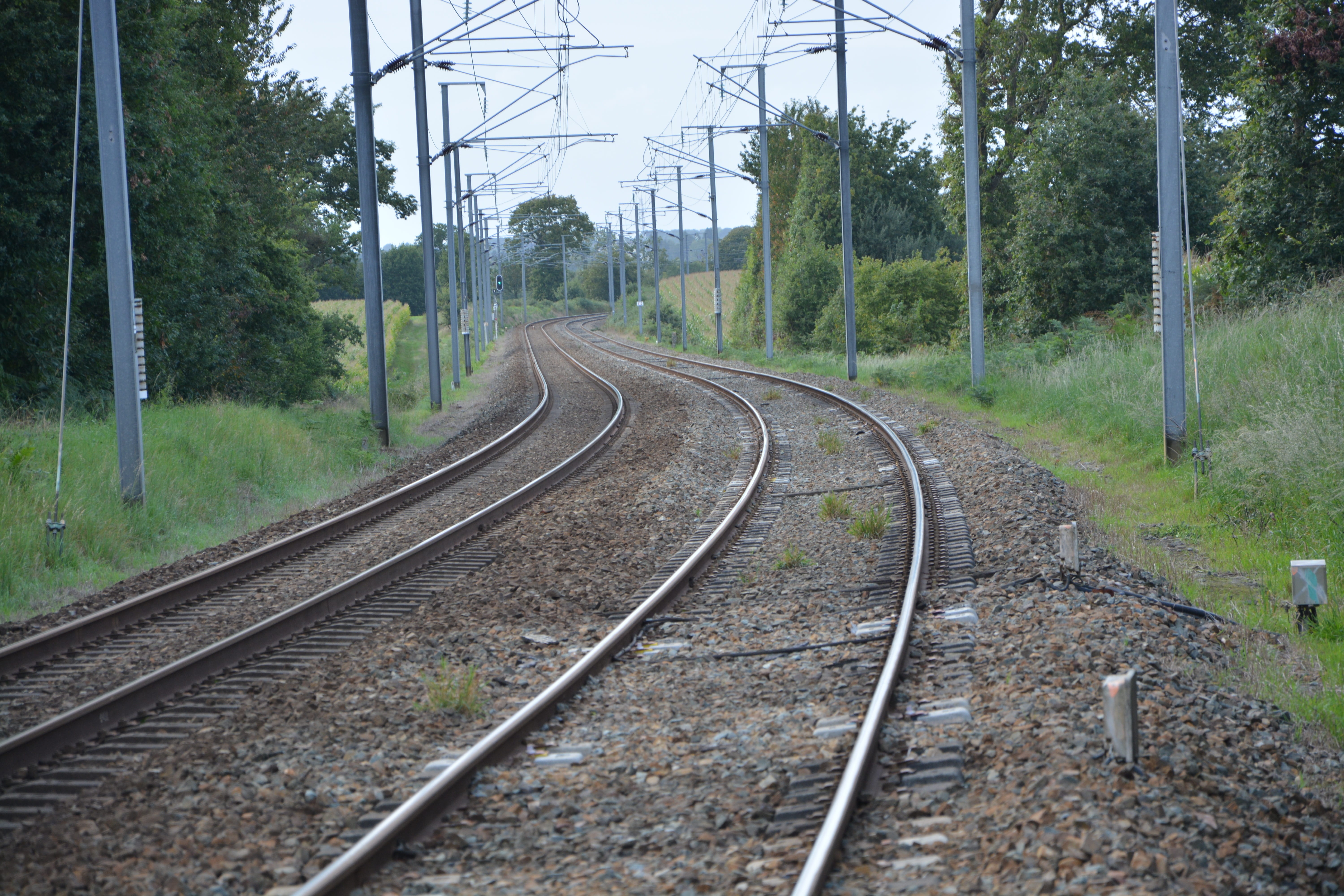 day, travel, france, 5K, nature, technology, plant, ter, parallel, track, power line, direction, growth, railroad track, rail transportation, electricity pylon, HD Wallpaper