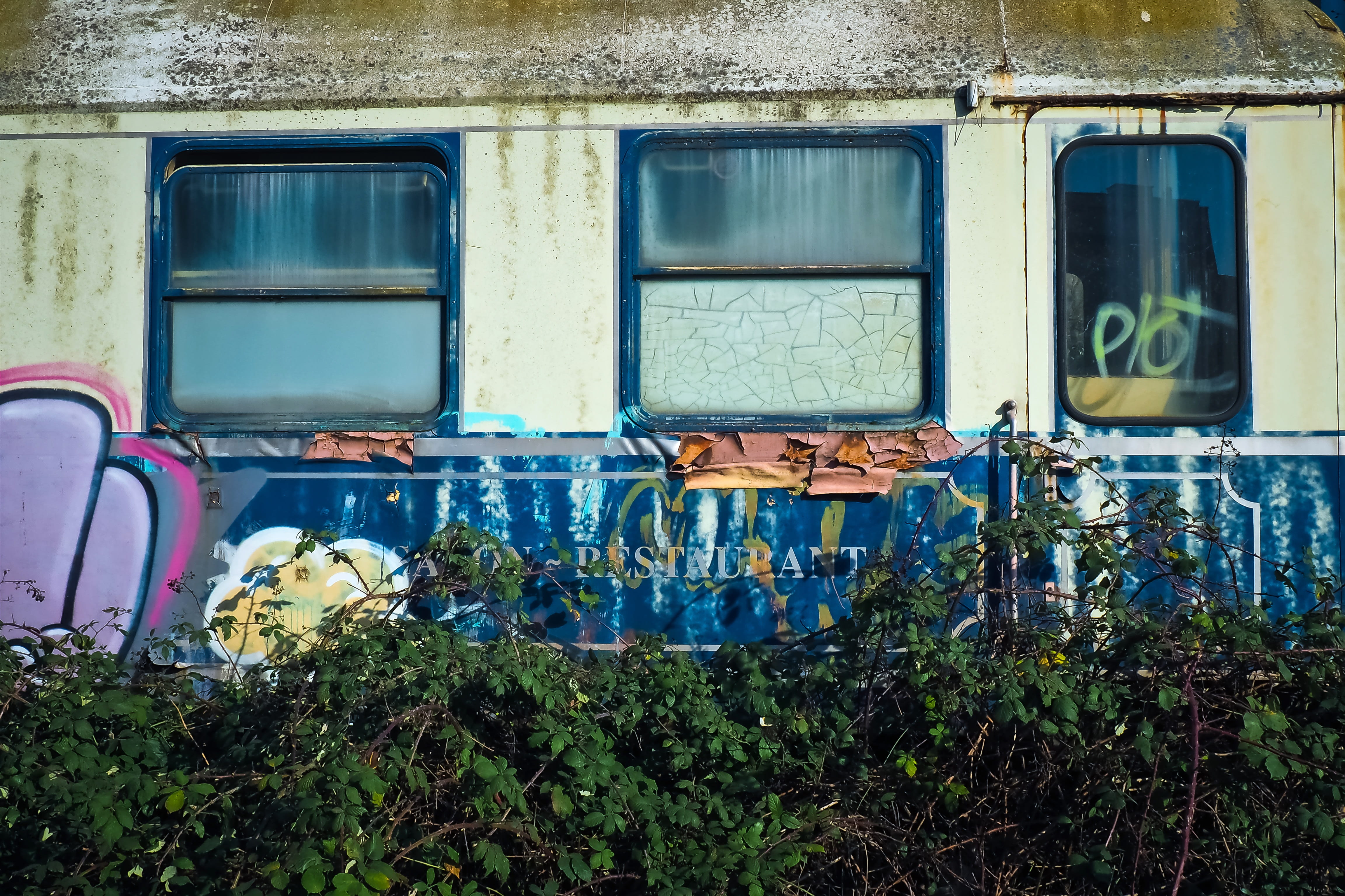 railway, overgrown, rails, dining car, forgotten places, glass - material, transportation, architecture, no people, abandoned places, shabby, nature, forget, HD Wallpaper