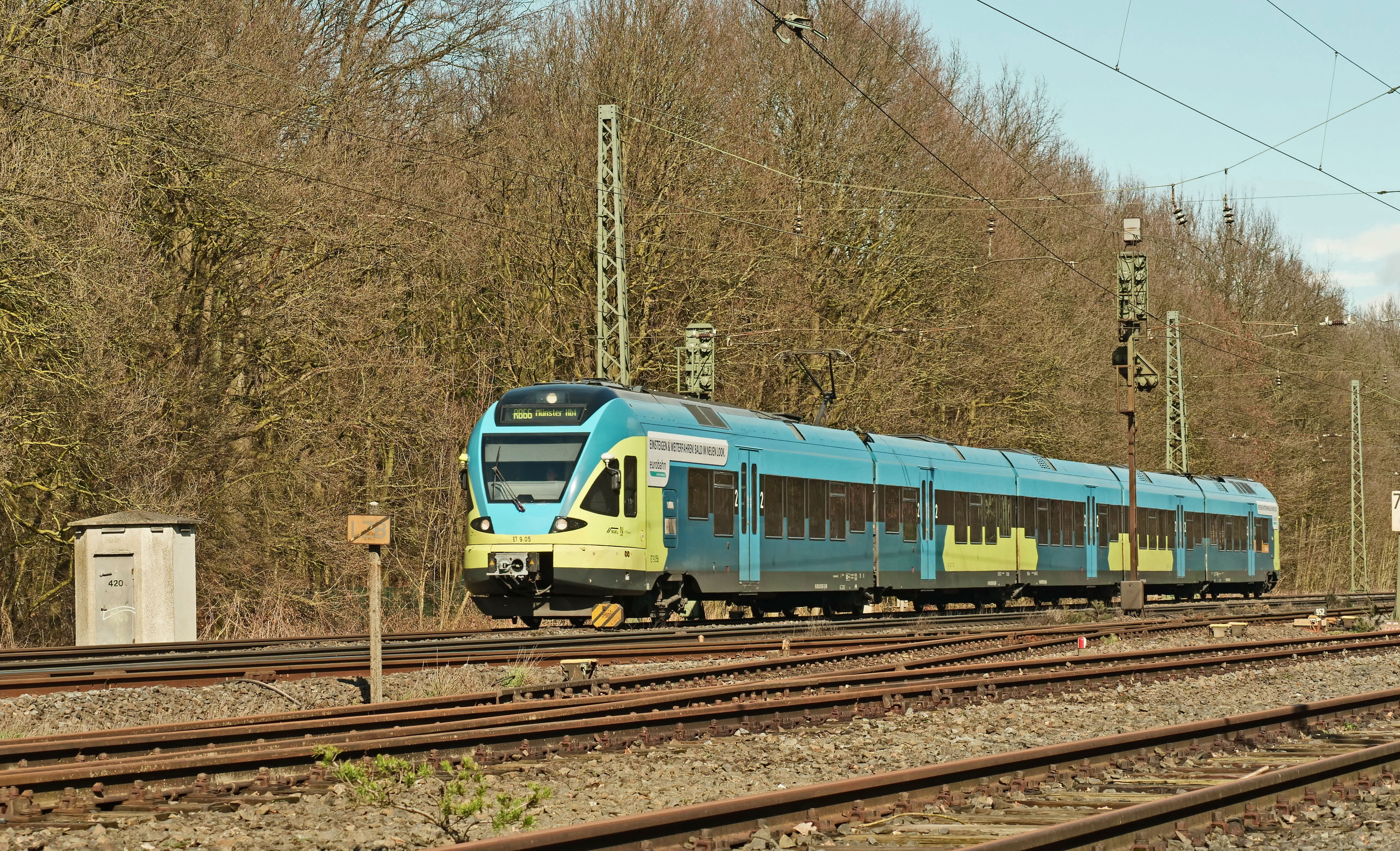 regional train, 4K, plant, colorful, train - vehicle, mode of transportation, cable, sky, railway, electricity, euro rail, public transportation, travel, HD Wallpaper