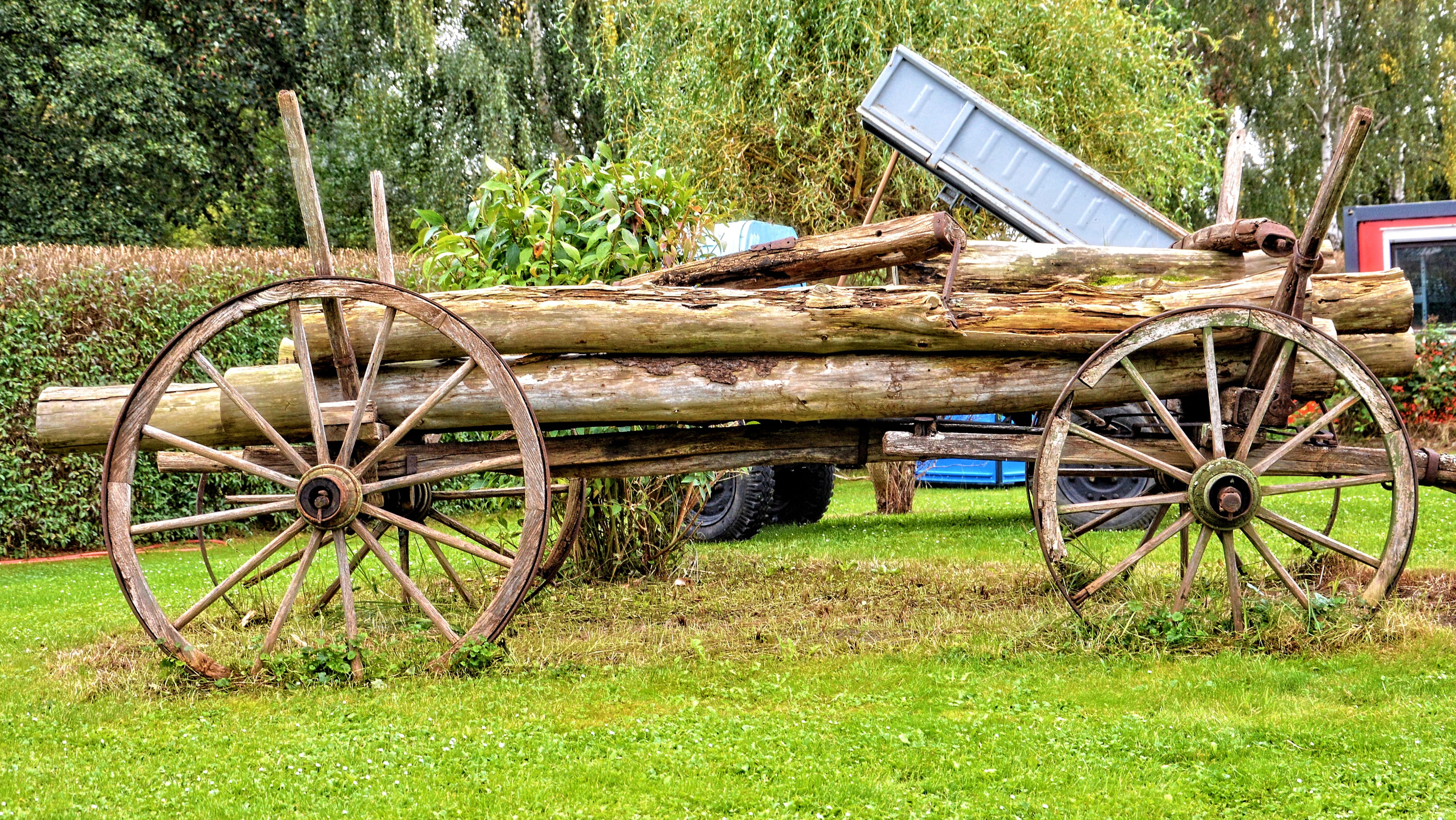 grass, horse, horse Cart, outdoors, historically, cart, day, no people, green color, tree, wagon wheel, Box, land, 4K, transportation, old, Signal Box, HD Wallpaper