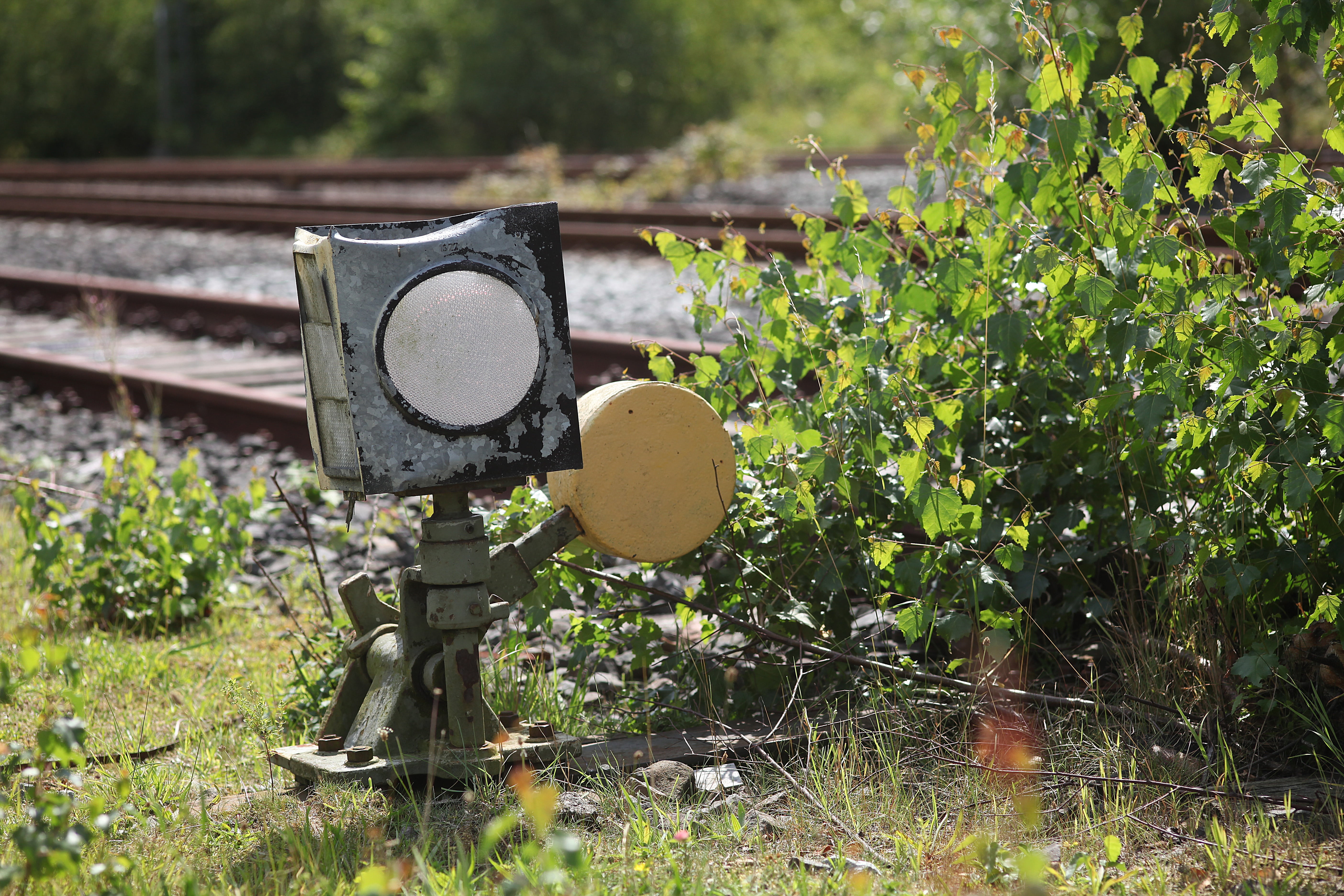 tree, technology, no people, railway station, nature, old worn out, wilderness, signal box, green color, rail transportation, 5K, seemed, land, plant part, HD Wallpaper