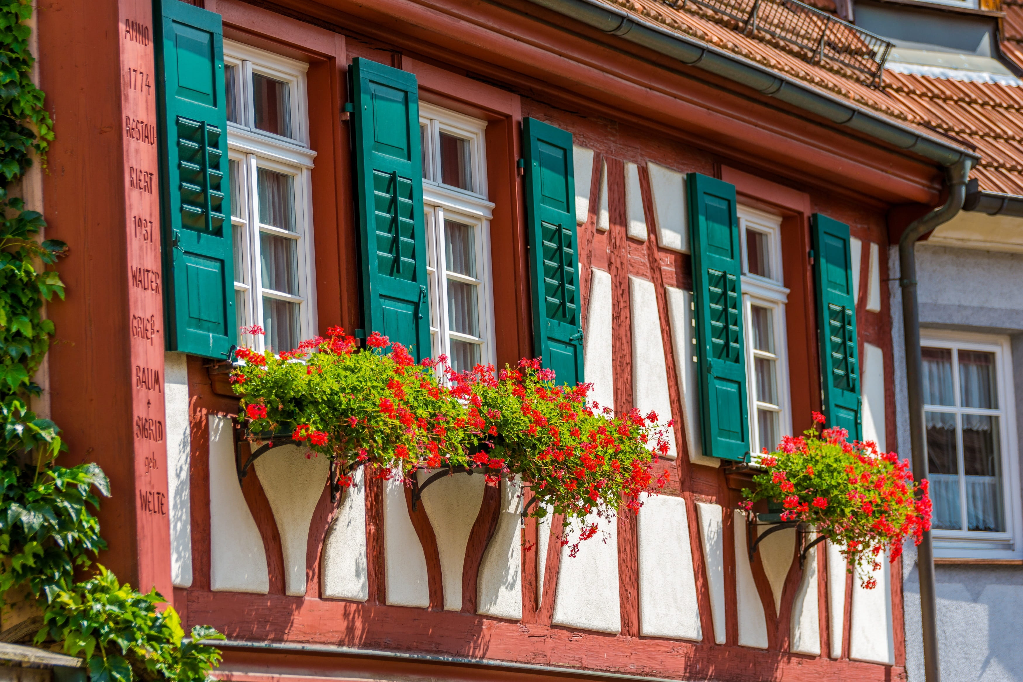window, flowering plant, residential district, home, flower pot, historically, building, architecture, window box, fachwerkhaus, haslach, nature, flower, HD Wallpaper