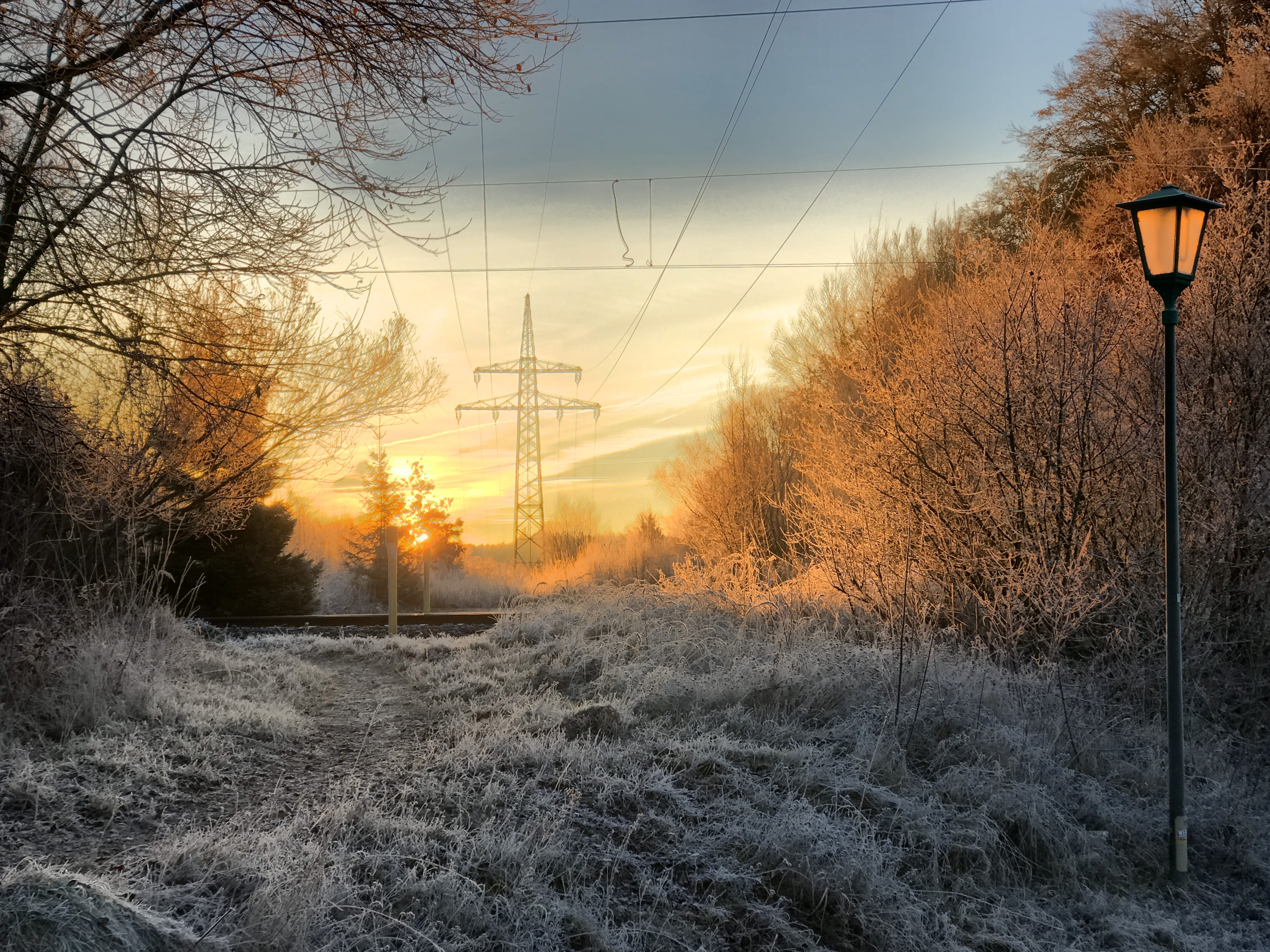 snow, scenics - nature, nature, sun, tree, landscape, bare tree, clear, hoarfrost, tranquility, land, sunset, frost, electricity pylon, ripe, trees, power line, HD Wallpaper