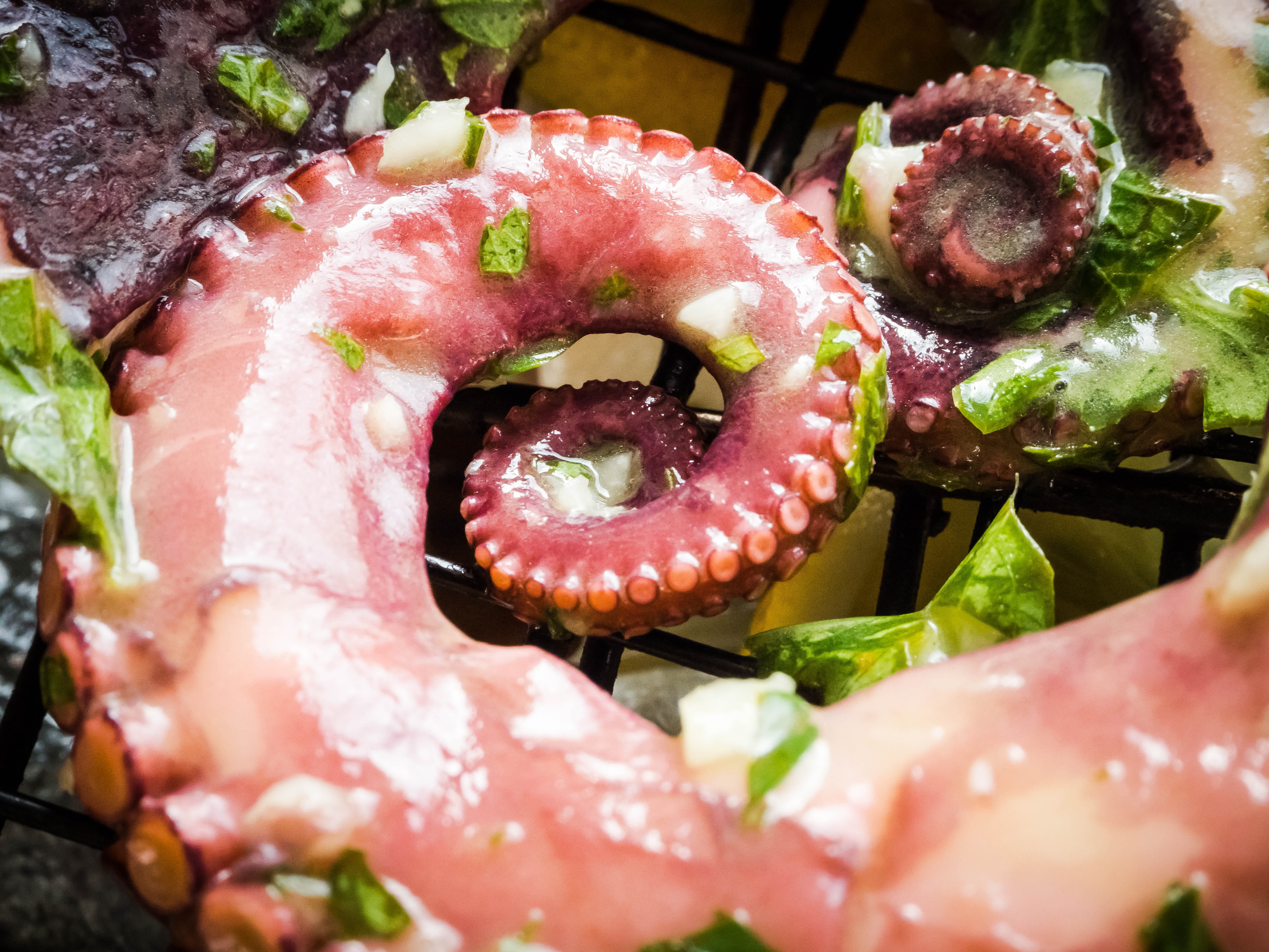 still life, close-up, germany, raw food, red, ludwigshafen, for sale, seafood, meat, food, cooking, ready-to-eat, no people, freshness, animal, octopus, HD Wallpaper