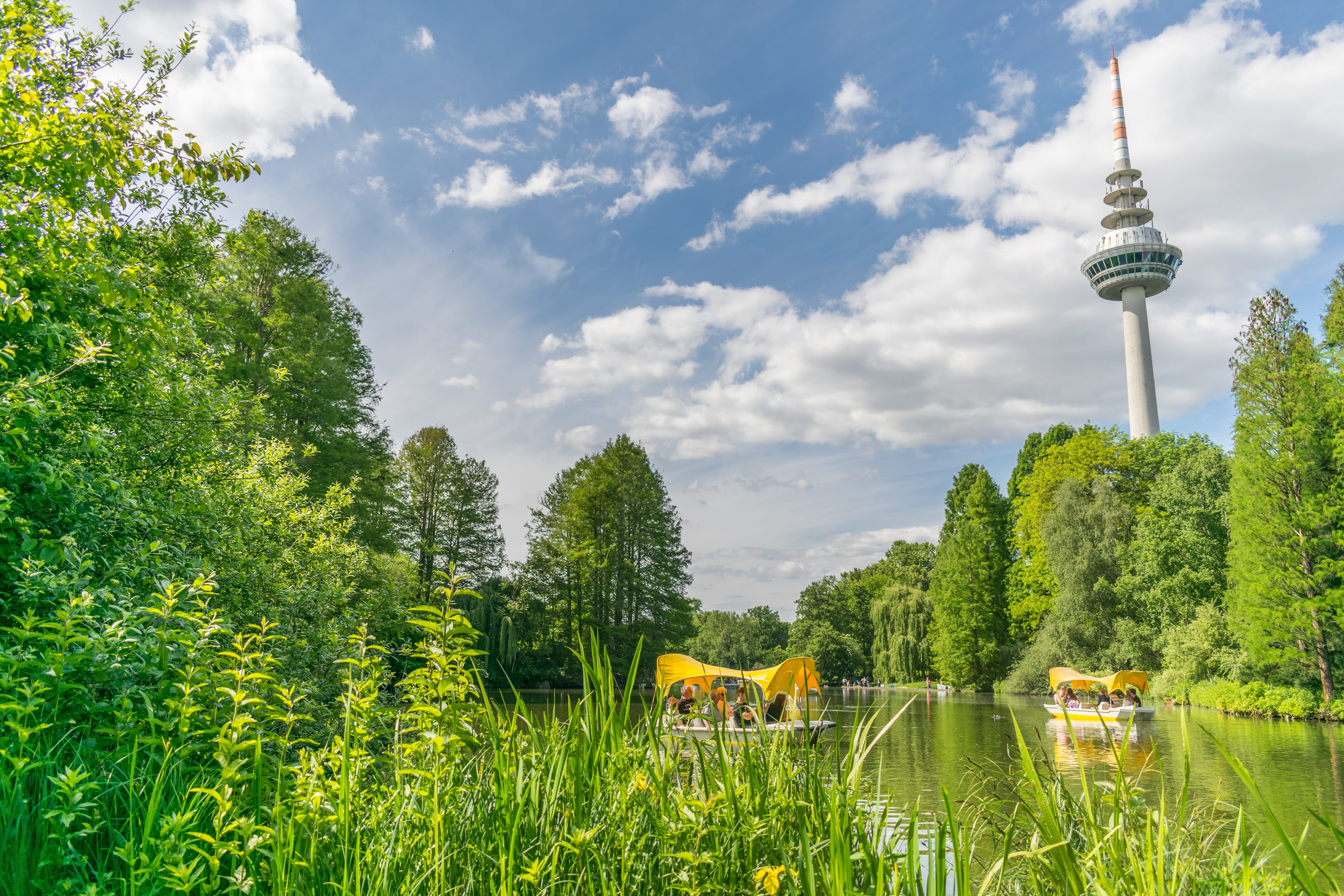 travel destinations, park, spire, luisenpark, sky, plant, growth, water, travel, landscape, global communications, botanical, garden, nature, day, tourism, HD Wallpaper