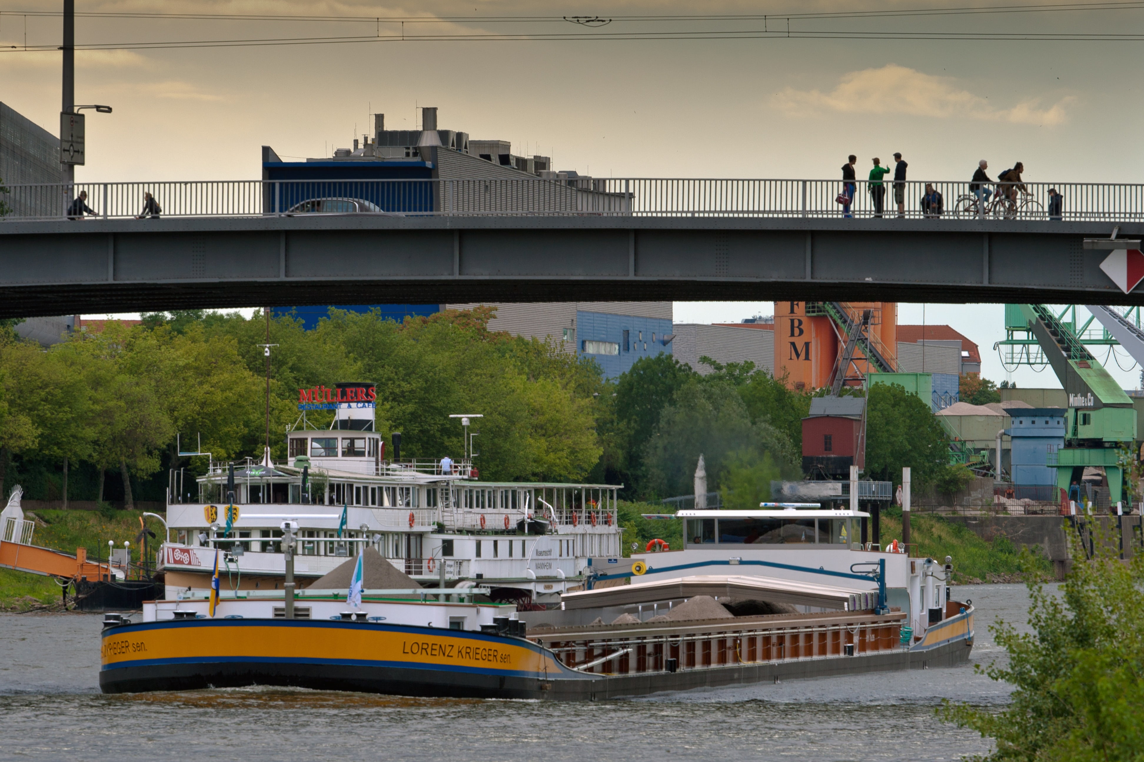 tree, 4K, river, sky, architecture, city, water, transportation, built structure, bridge - man made structure, bridge, passenger craft, neckar, outdoors, HD Wallpaper
