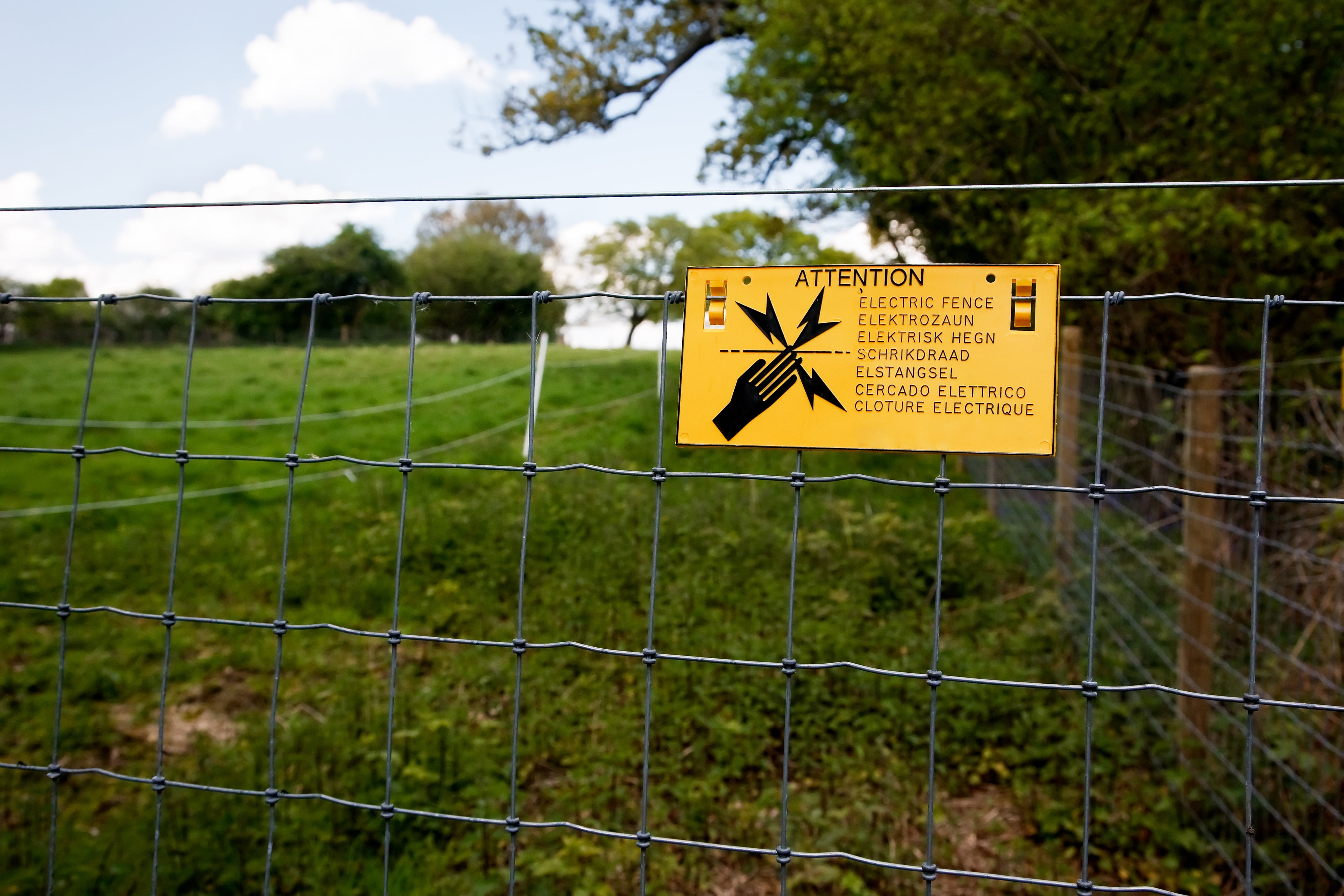 security, communication, voltage, 4K, exclusion, nature, protection, warning Sign, plant, tree, text, wire, field, metal, electricity, danger, grass, chainlink fence, HD Wallpaper