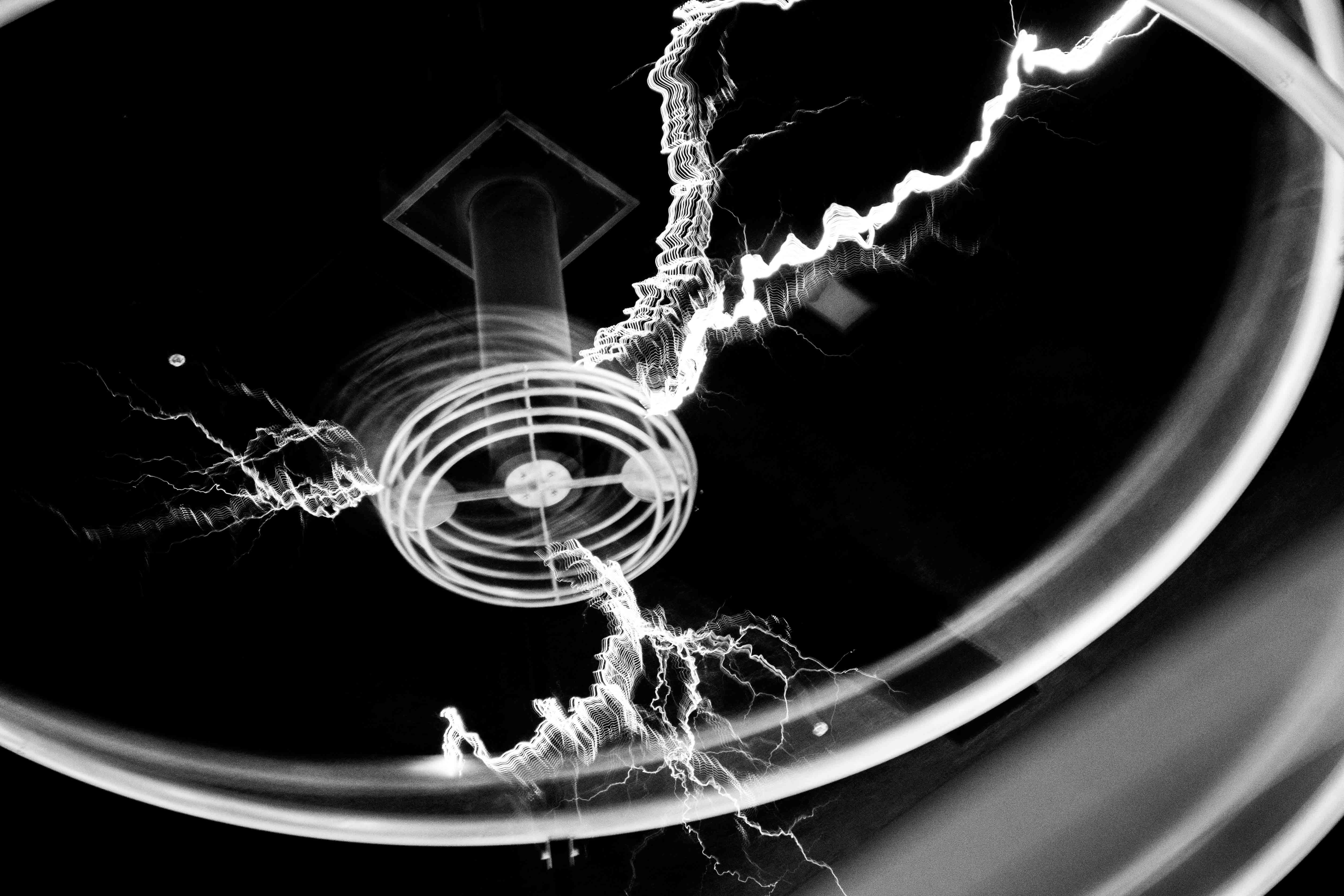 no people, indoors, motion, geometric shape, coil, 5K, pattern, black Color, circle, animal, blue, design, close-up, black background, curve, invertebrate, HD Wallpaper