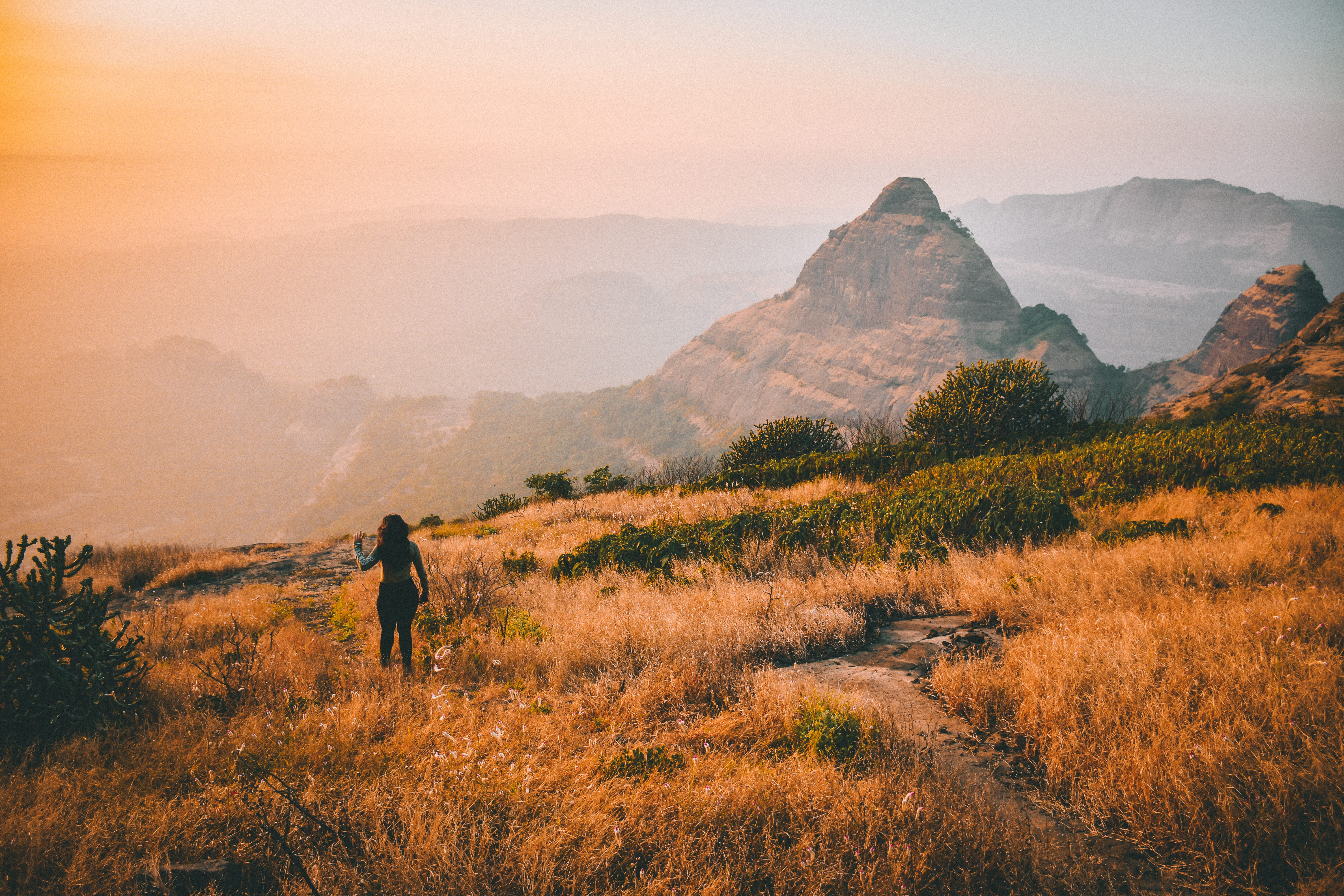 non-urban scene, grassland, travel destinations, sky, grass, hill, beauty in nature, field, 5K, person, woman, environment, sahyadri, outdoors, plant, HD Wallpaper