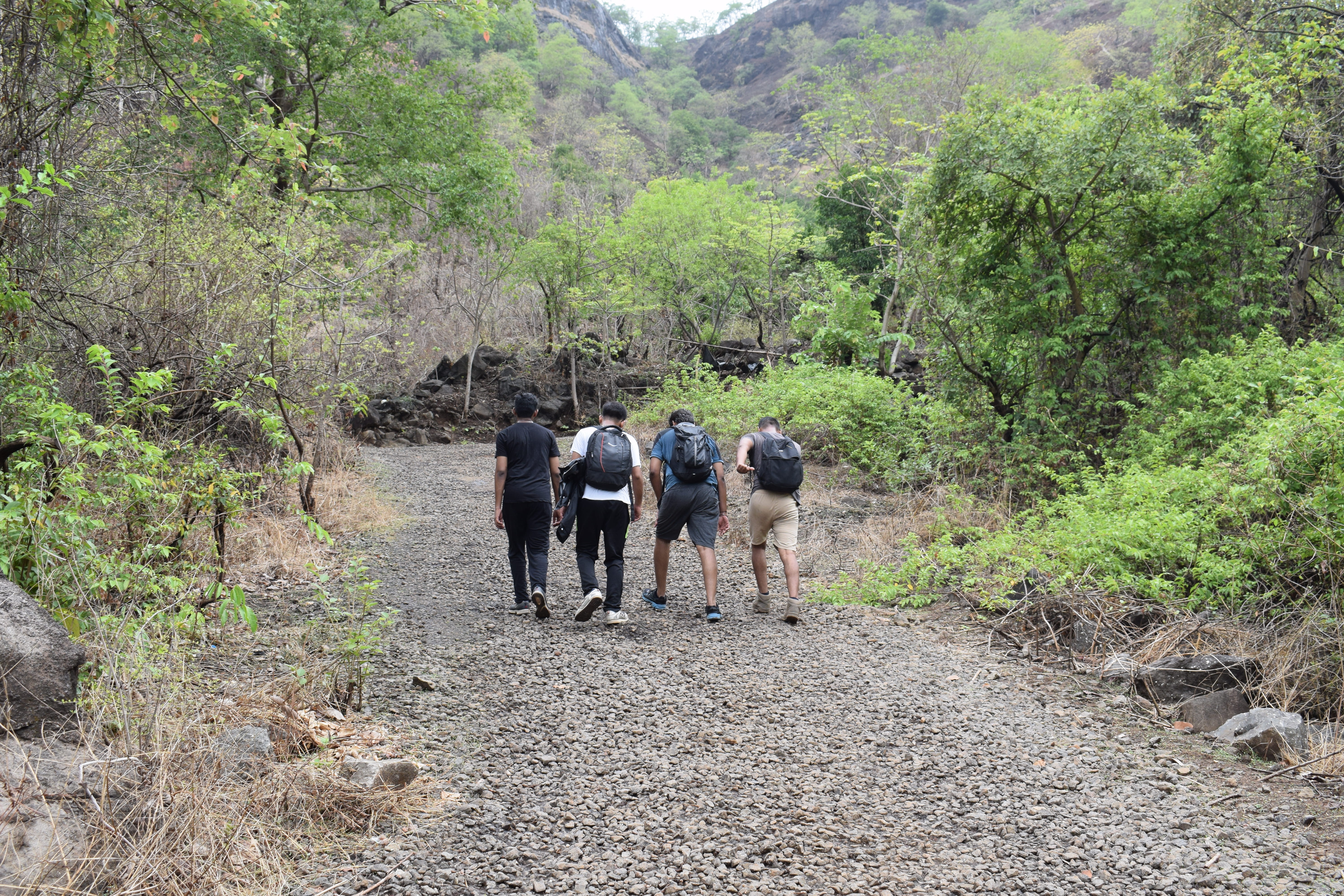 day, sahyadris, men, plant, hikers, adult, adventure, medium group of people, india, 5K, kalavantin durg, green, mountaineers, rain, monsoon, people, friends, HD Wallpaper